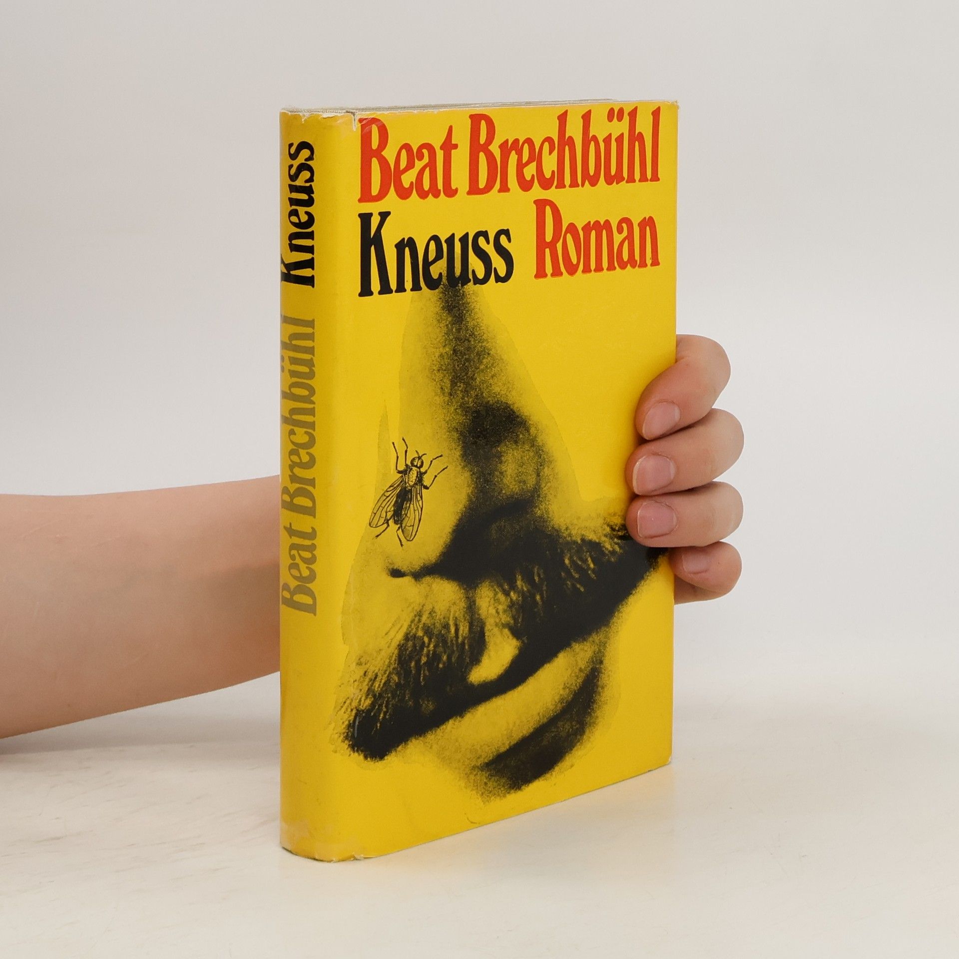 Beat Brechbühl Kneuss