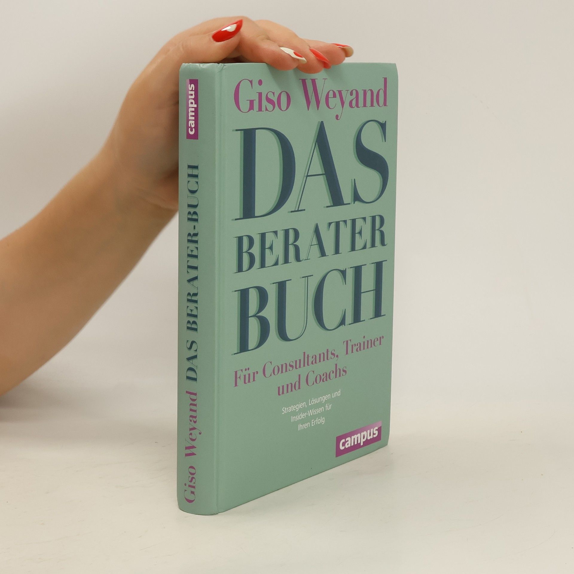 Giso Weyand Das Berater-Buch - für Consultants, Trainer und Coachs