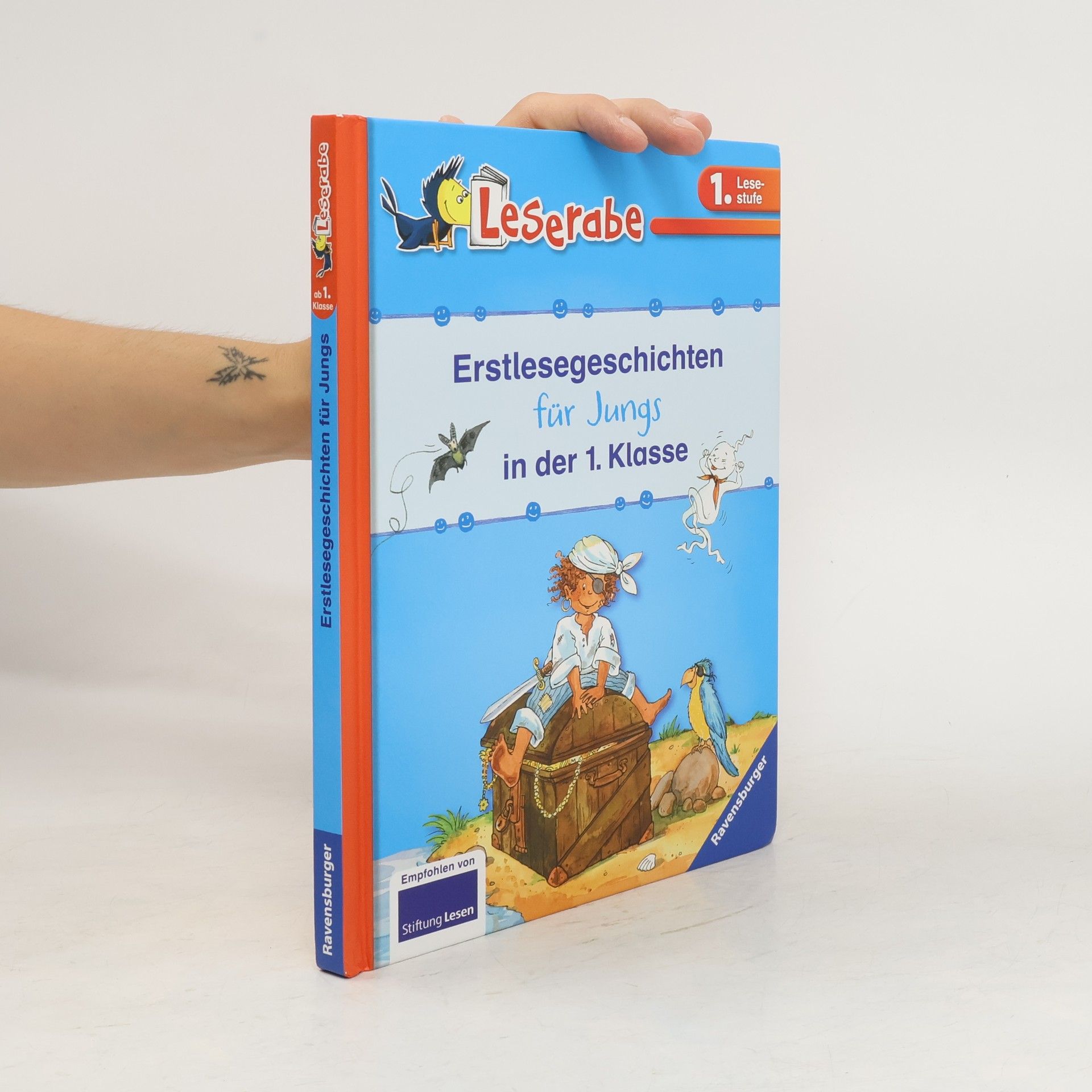 Silke Voigt Erstlesegeschichten für Jungs in der 1. Klasse