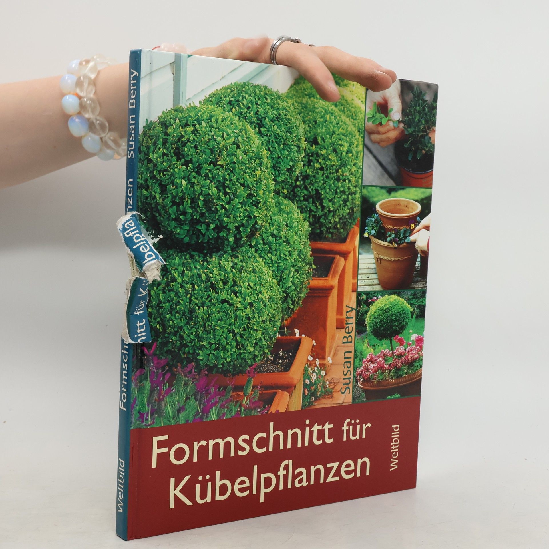 Susan Berry Formschnitt für Kübelpflanzen