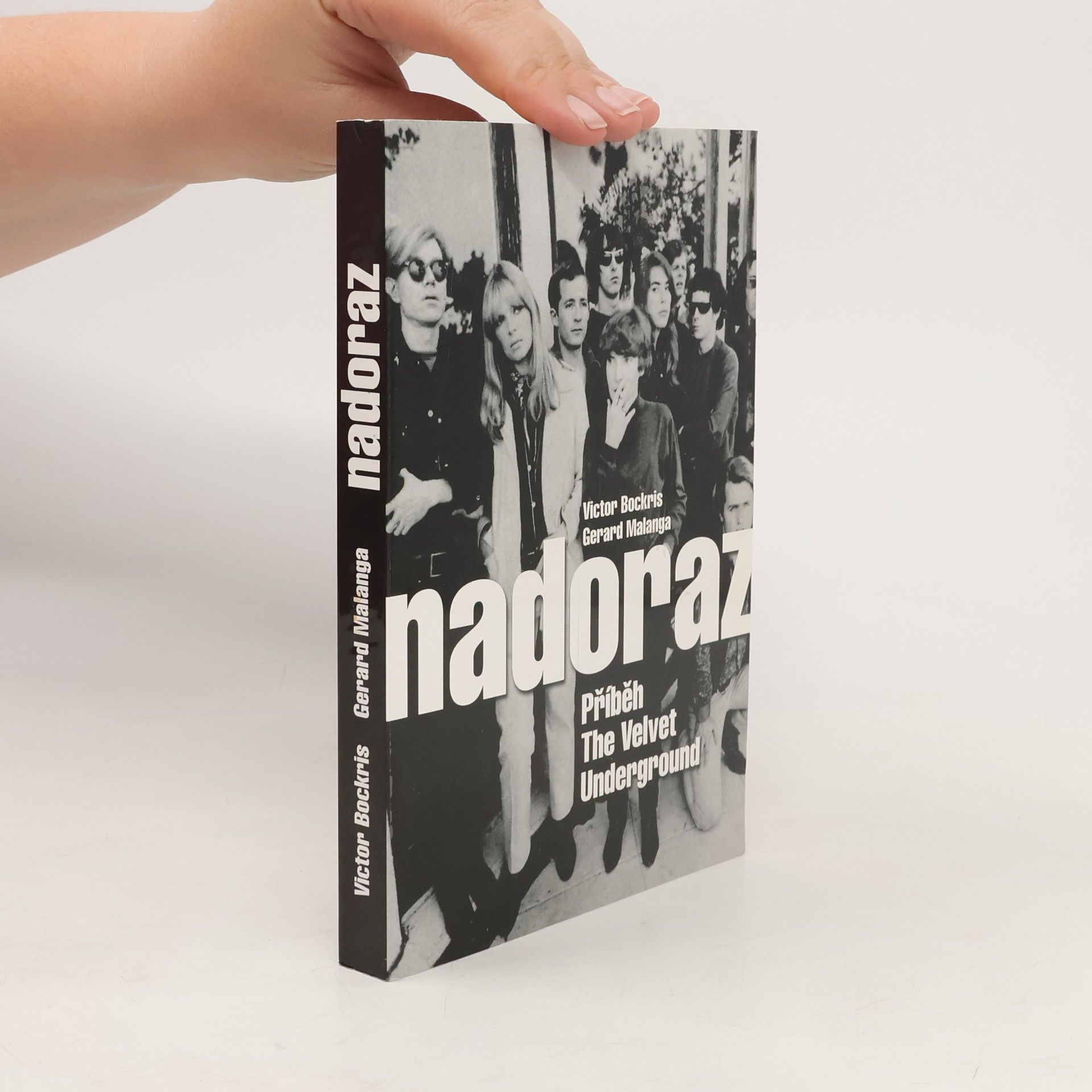 Victor Bockris Nadoraz: Příběh The Velvet Underground