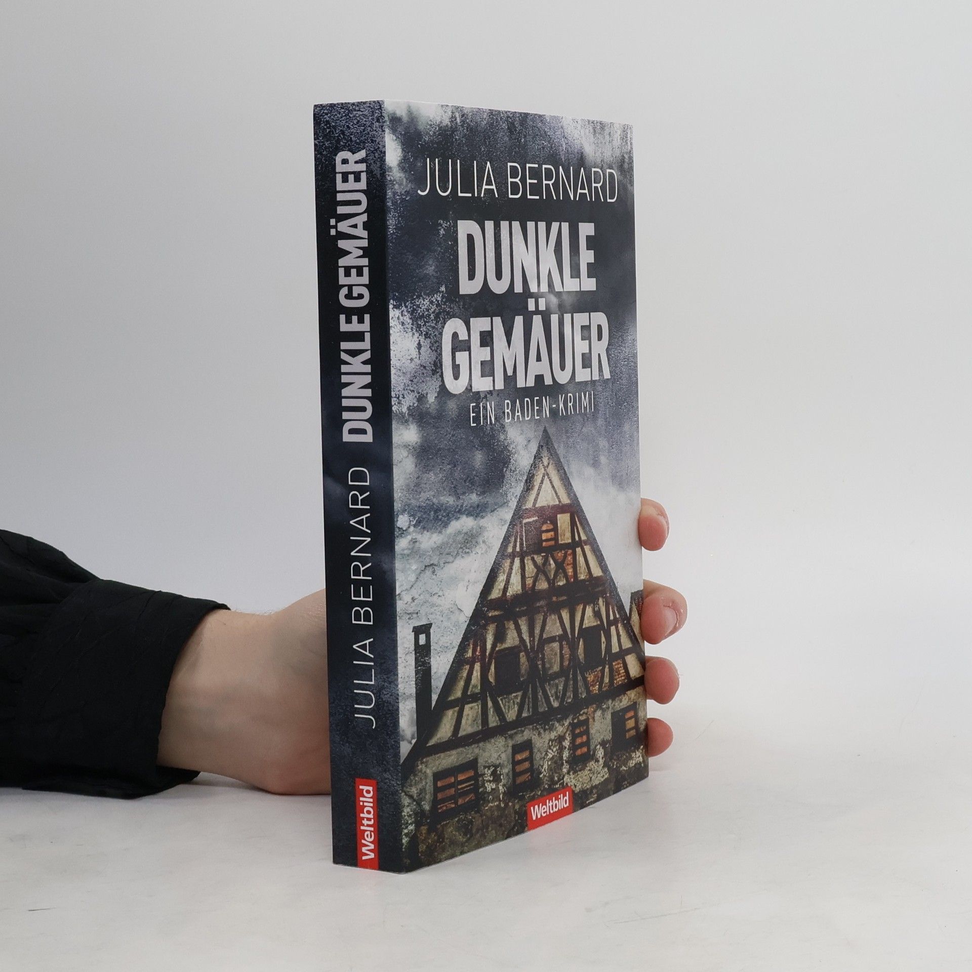 Julia Bernard Dunkle Gemäuer