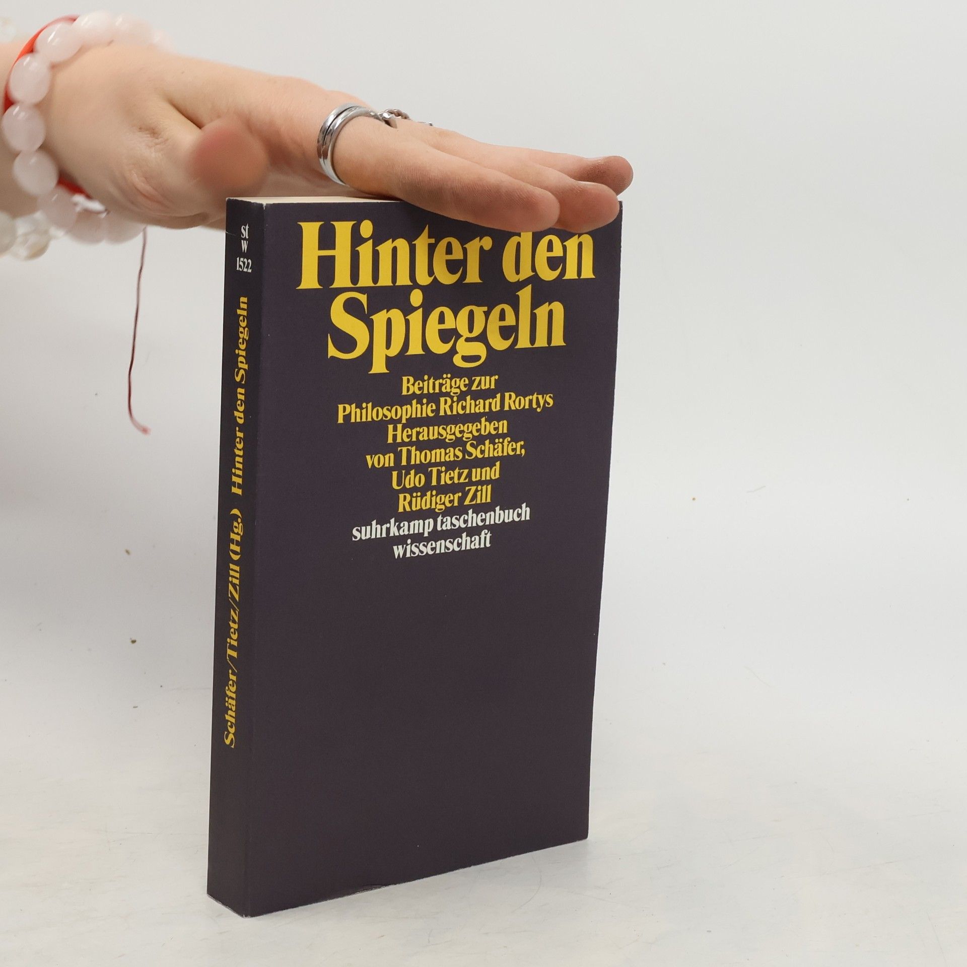 Thomas Schäfer Hinter den Spiegeln