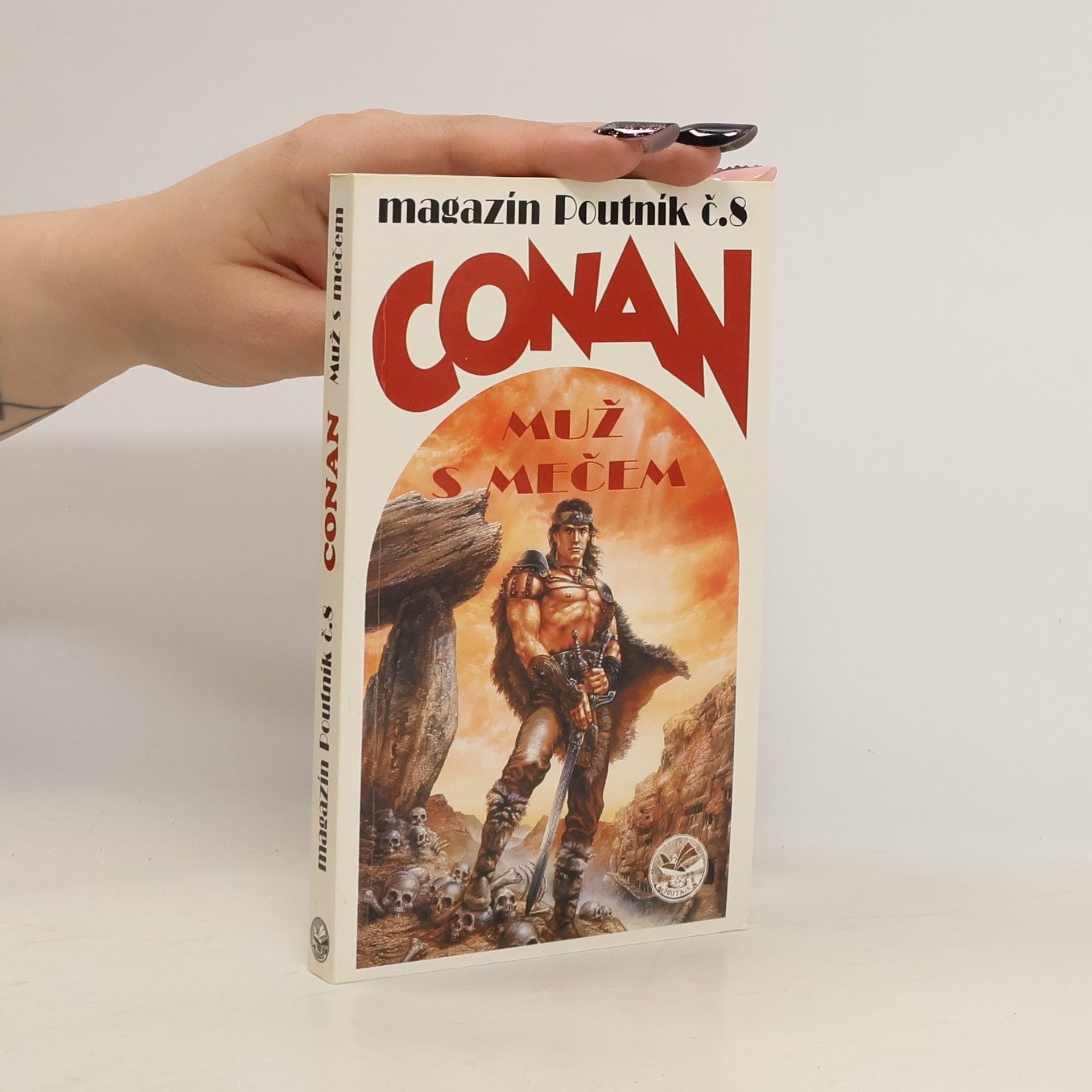 Luis Royo Conan : muž s mečem