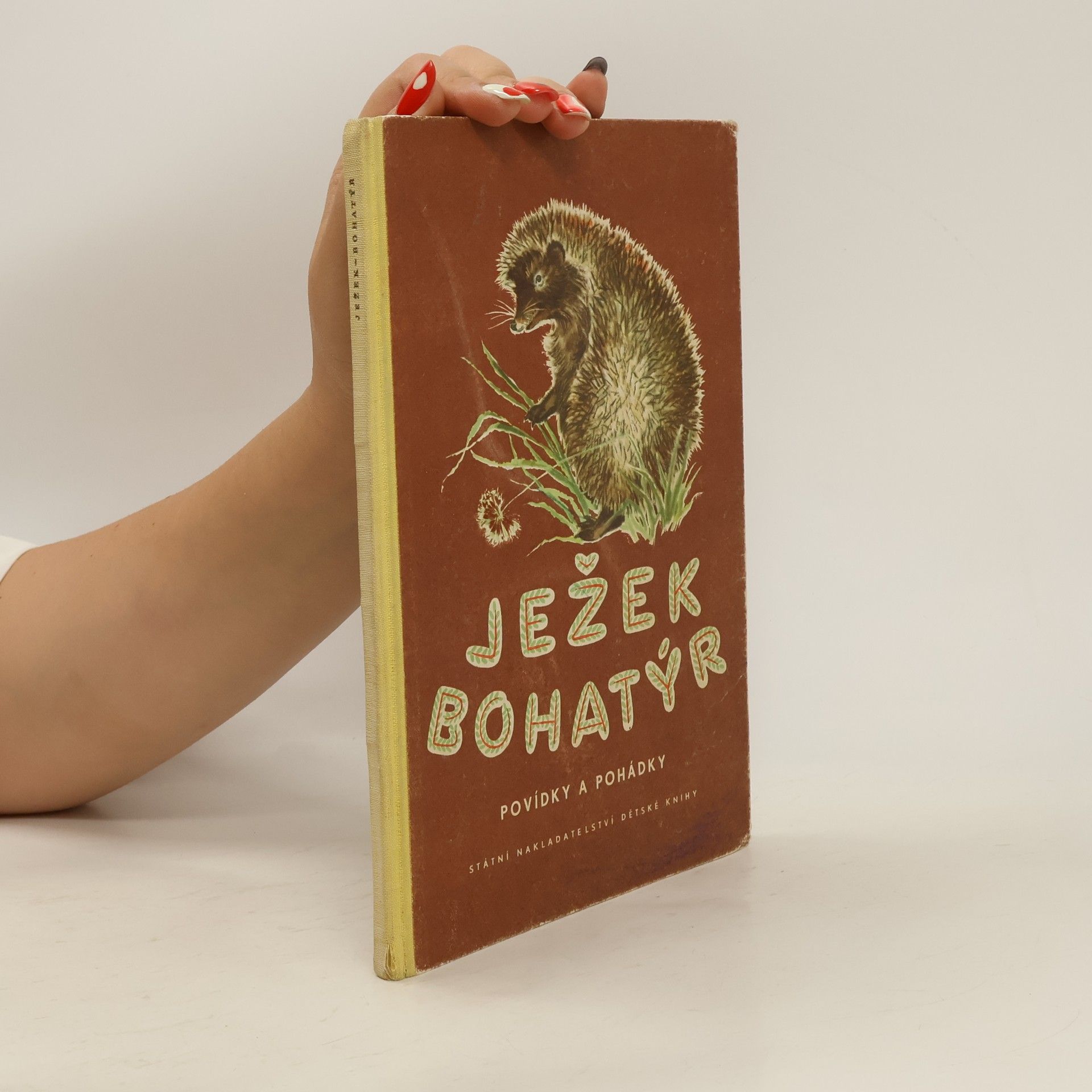 kolektiv Ježek bohatýr