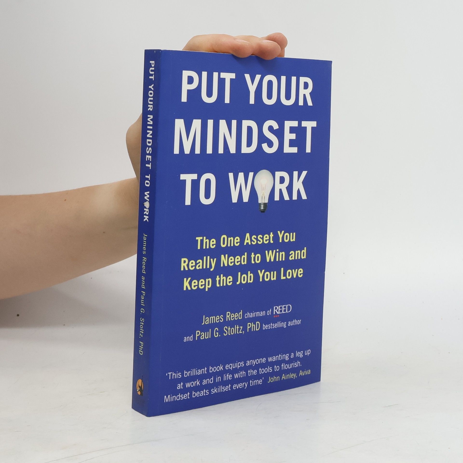 Paul Gordon Stoltz Put Your Mindset to Work