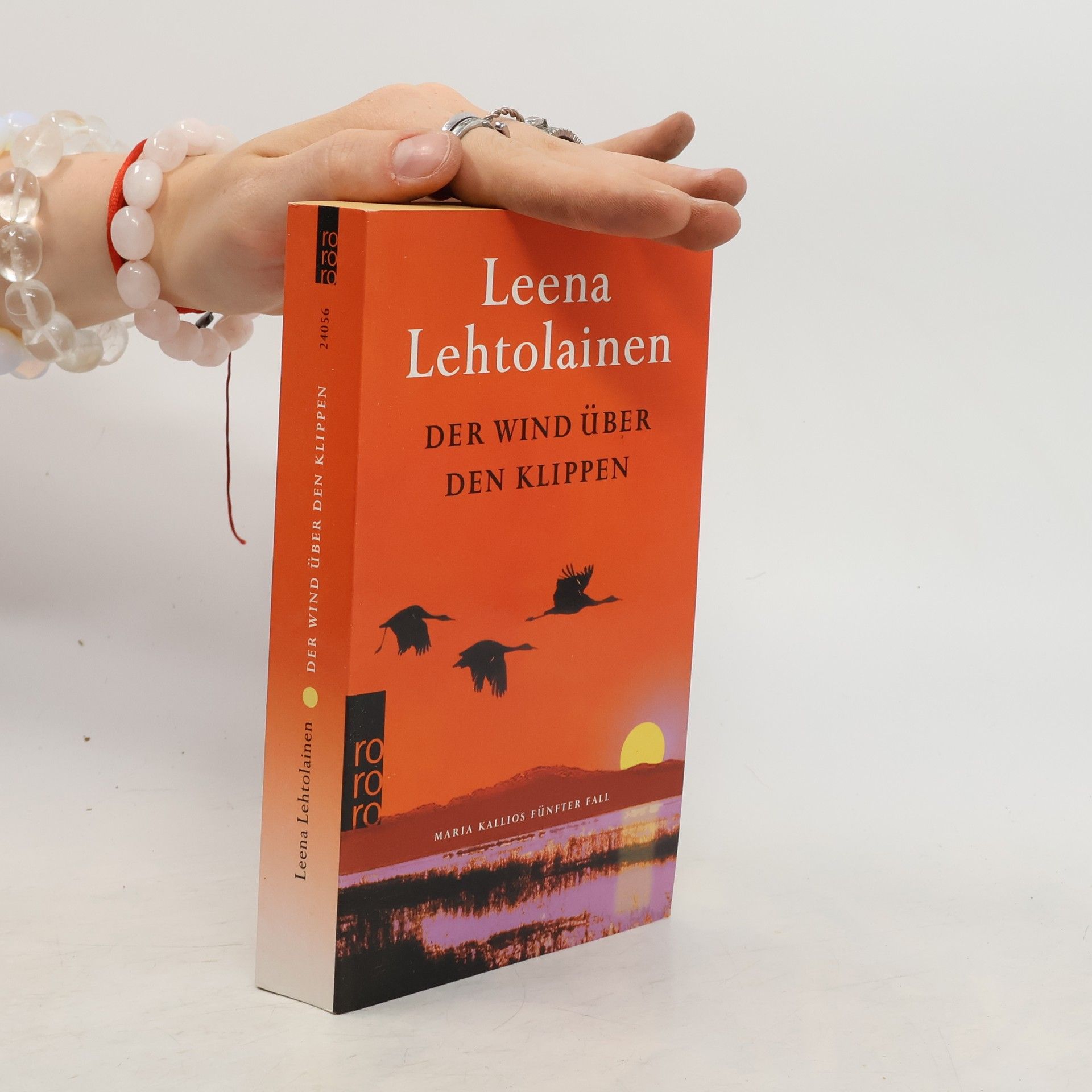 Leena Lehtolainen Der Wind über den Klippen
