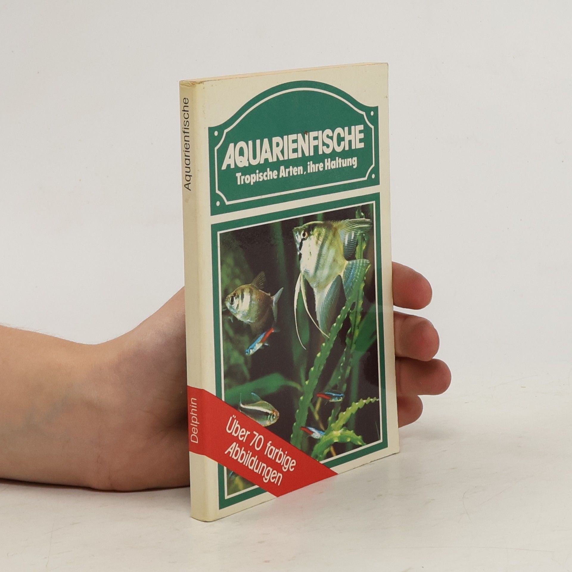 Neil Wainwright Aquarienfische