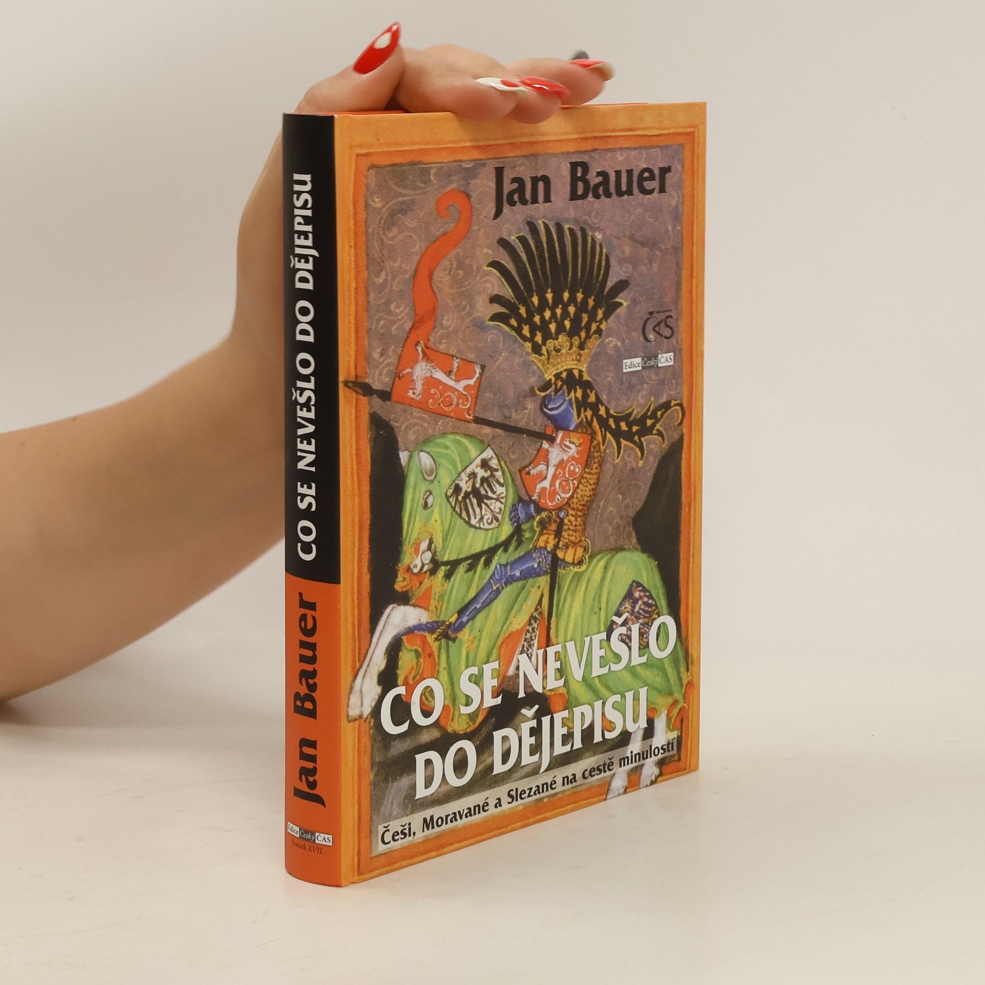 Jan Bauer Co se nevešlo do dějepisu. Češi, Moravané a Slezané na cestě minulostí