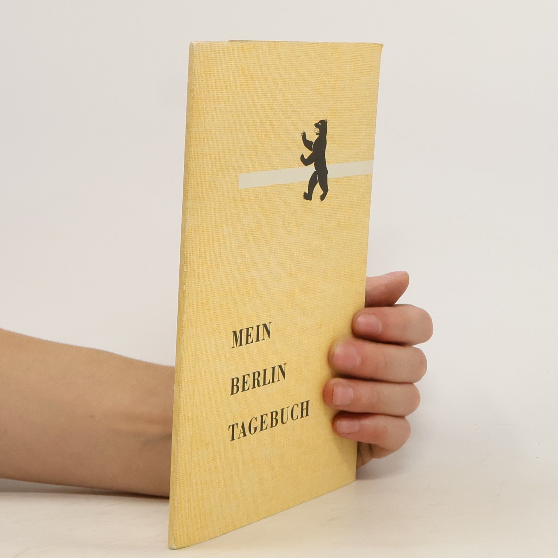 Autorenkollektiv Mein Berlin Tagebuch