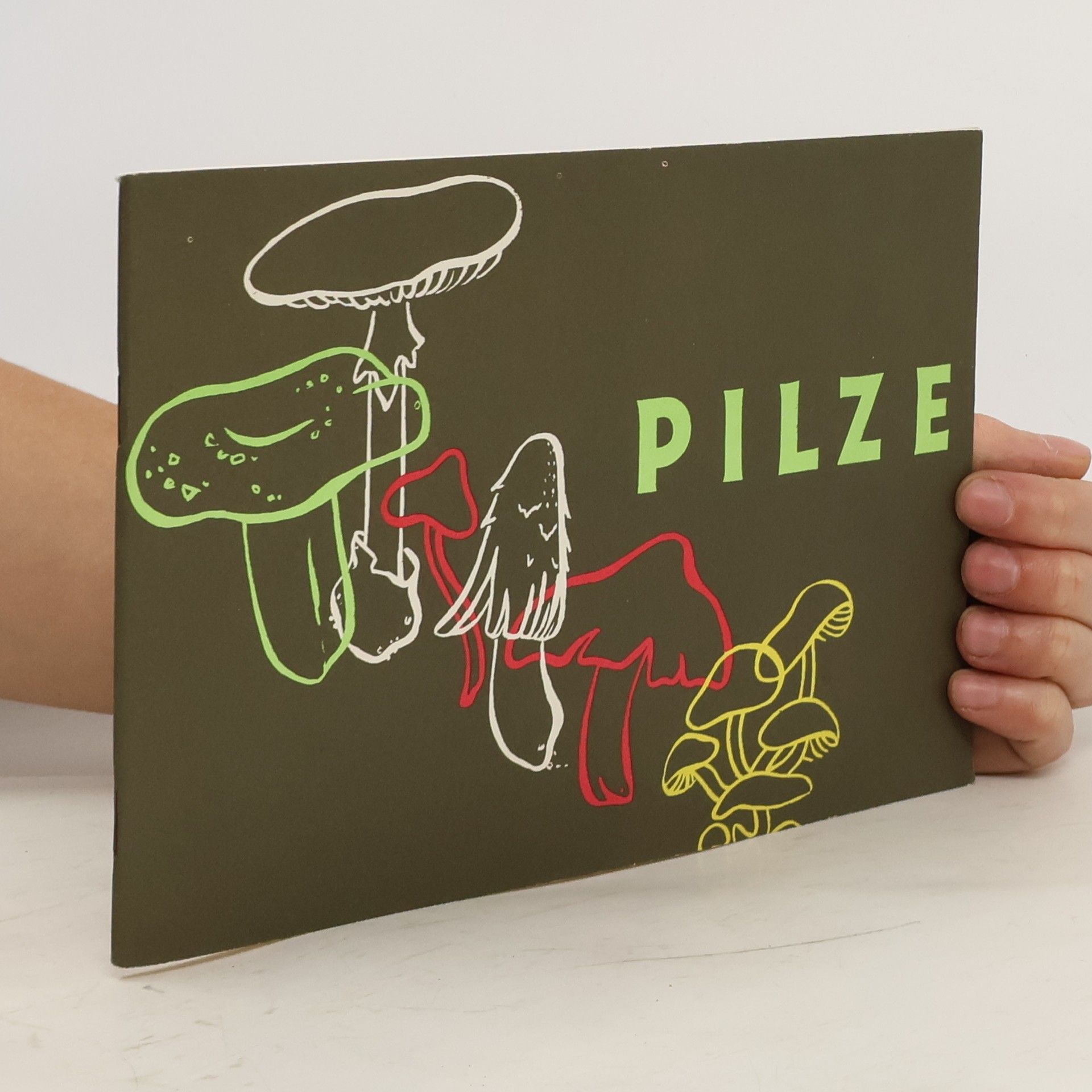 Autorenkollektiv Pilze