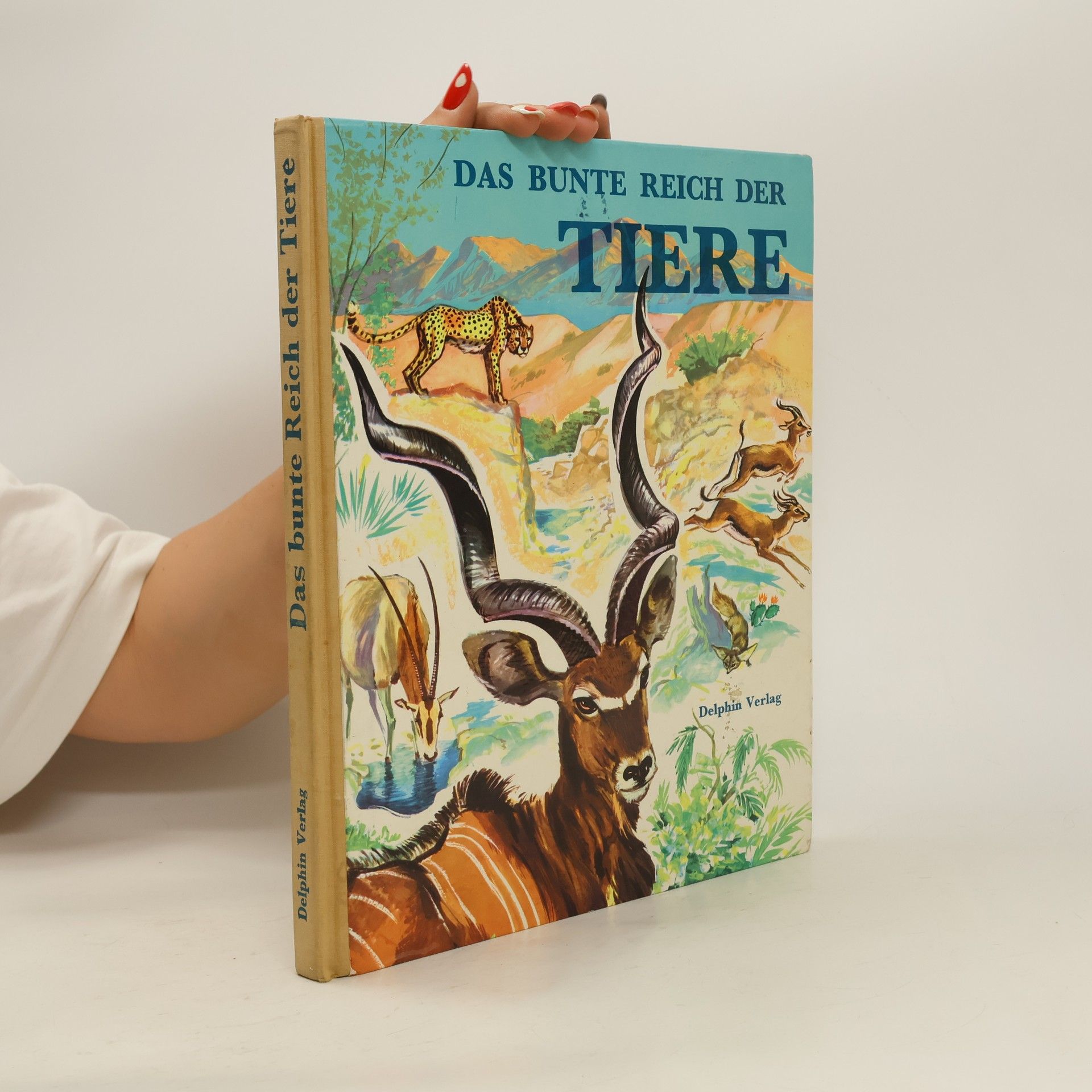 kolektiv Das bunte Reich der Tiere