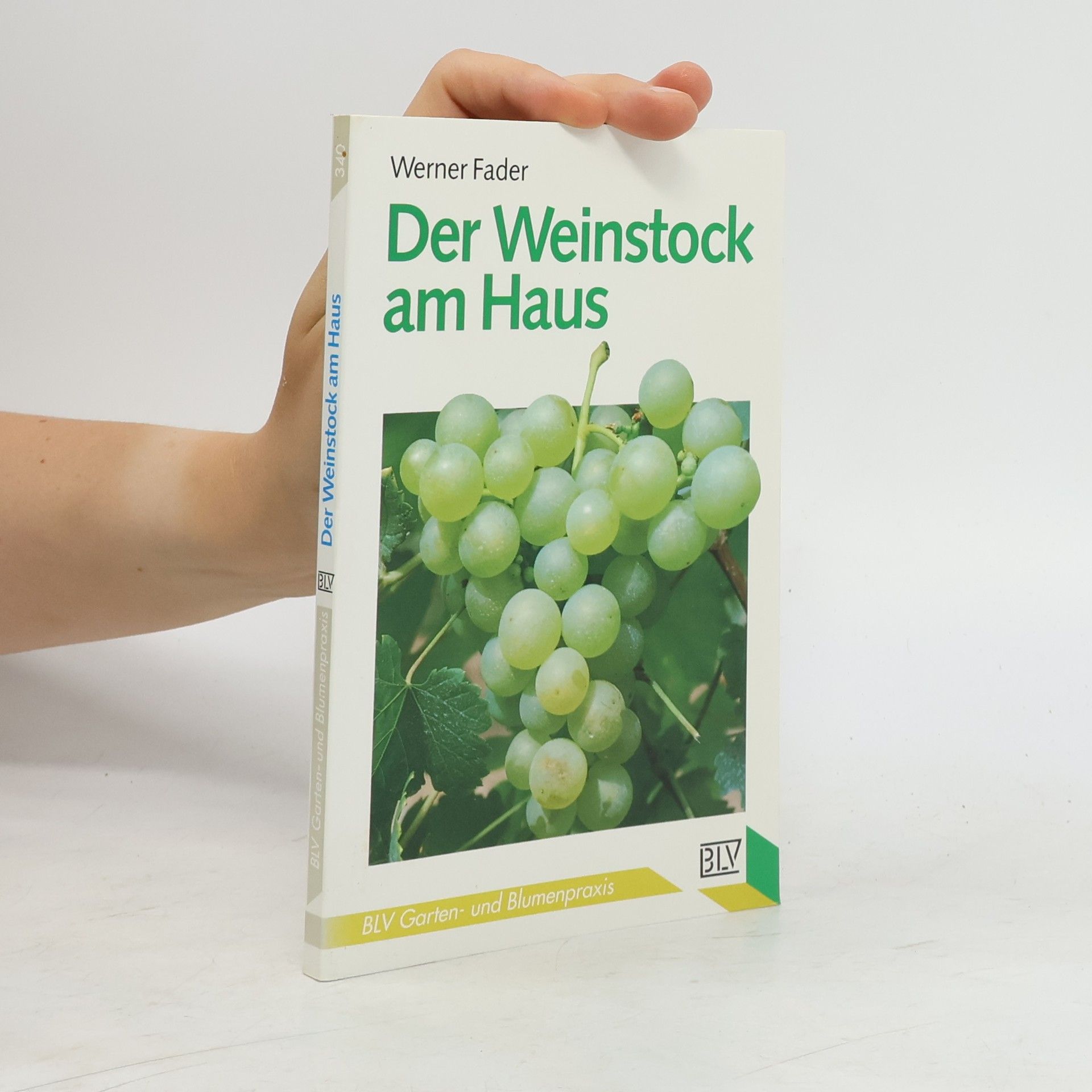 Werner Fader Der Weinstock am Haus