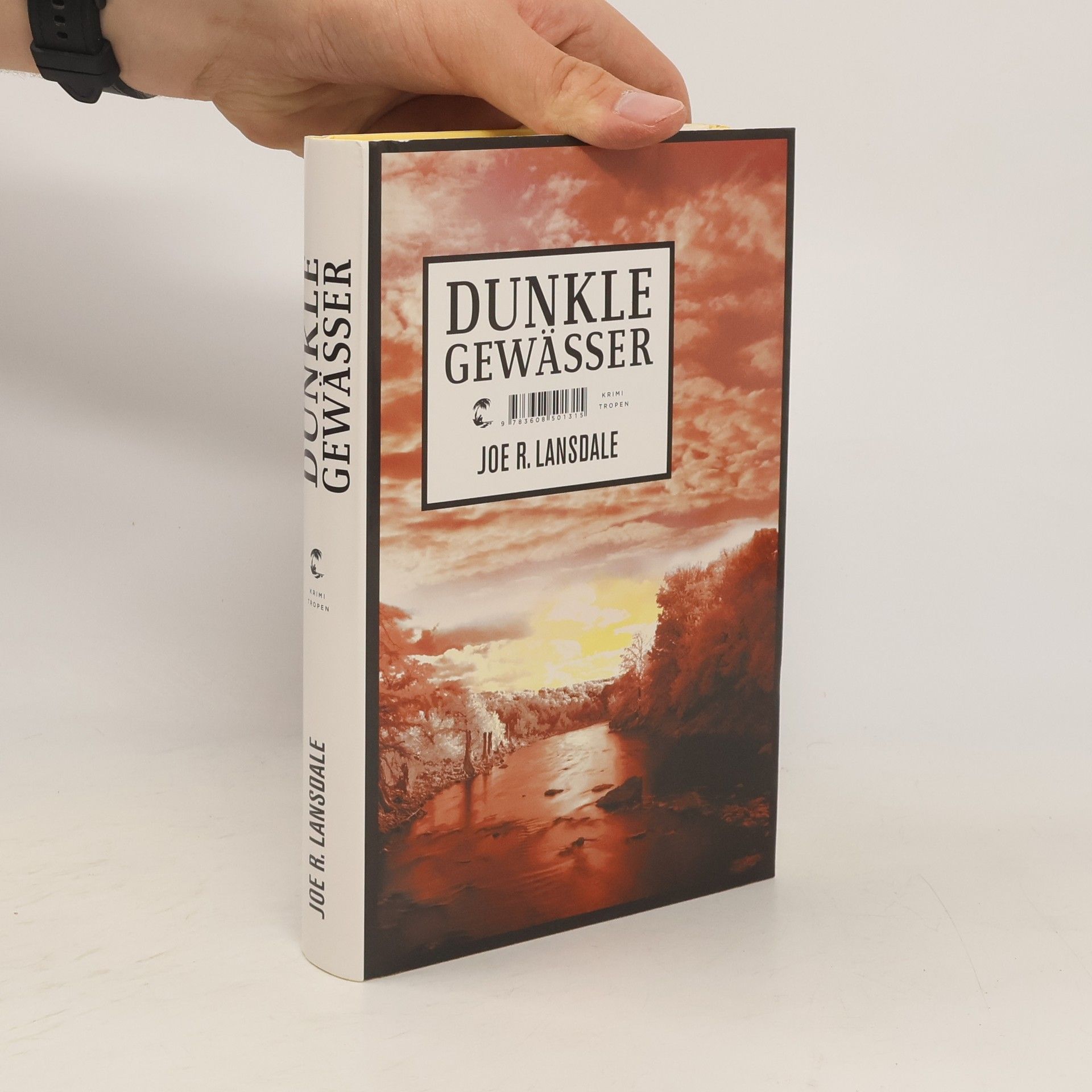 Joe R. Lansdale Dunkle Gewässer