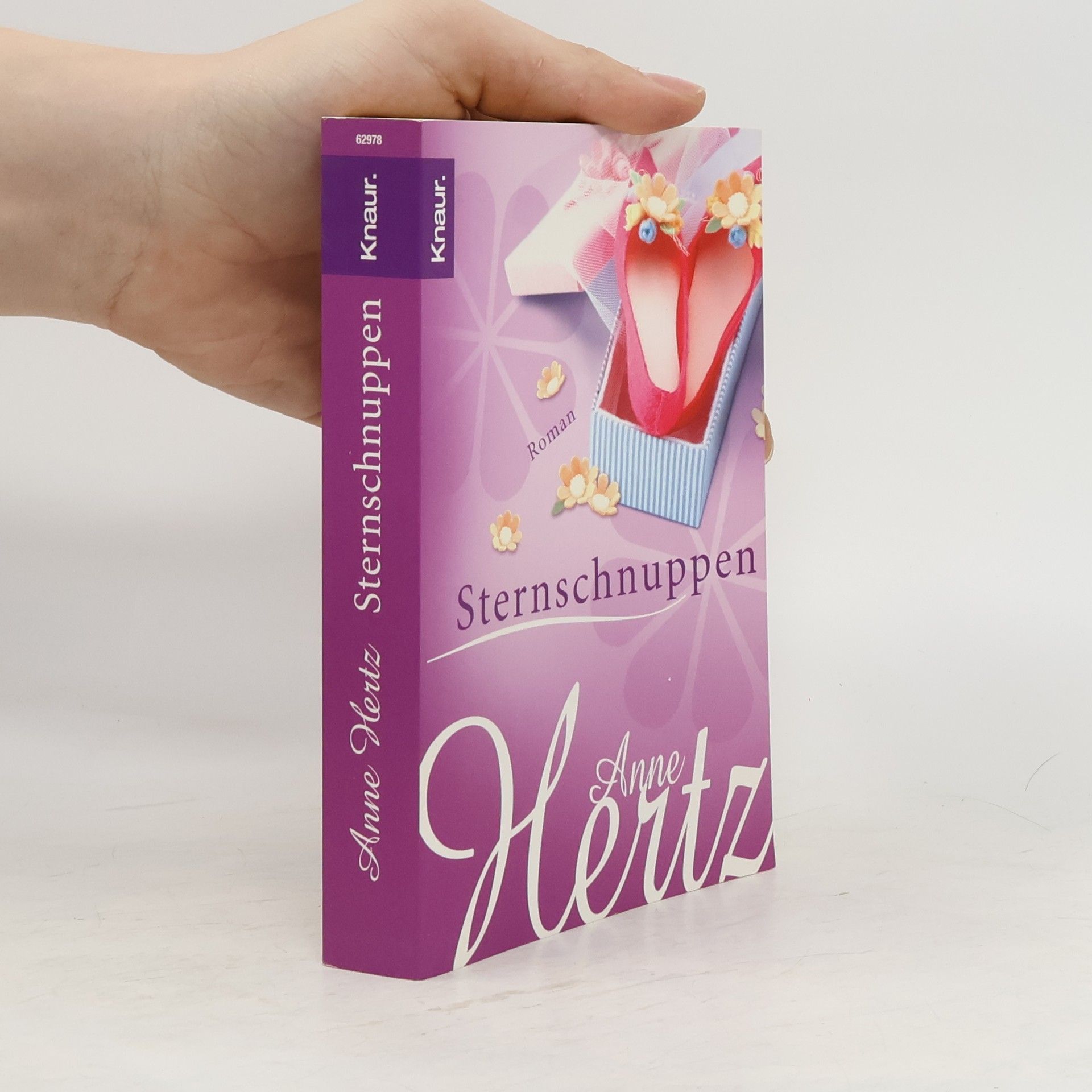 Anne Hertz Sternschnuppen