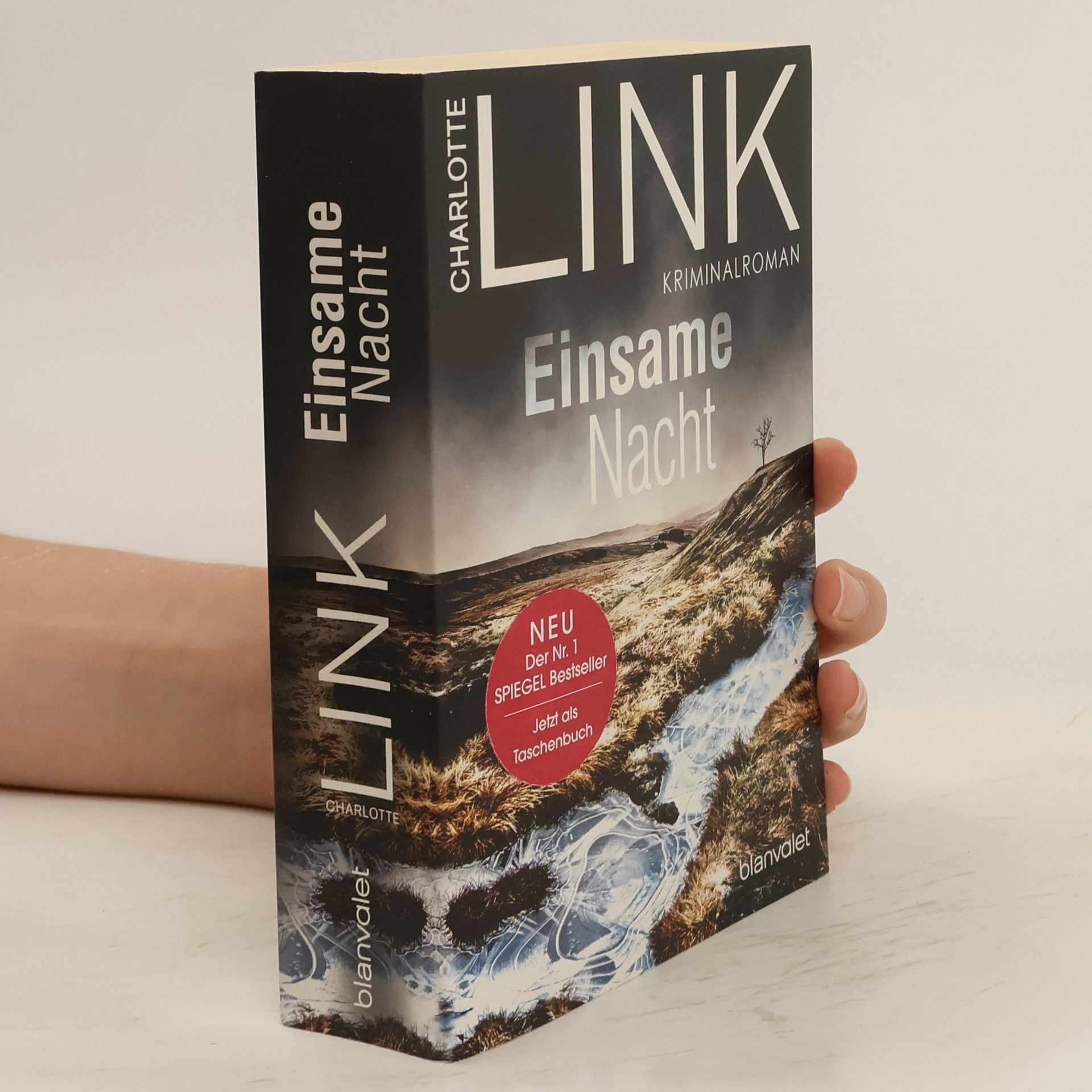 Charlotte Link Einsame Nacht