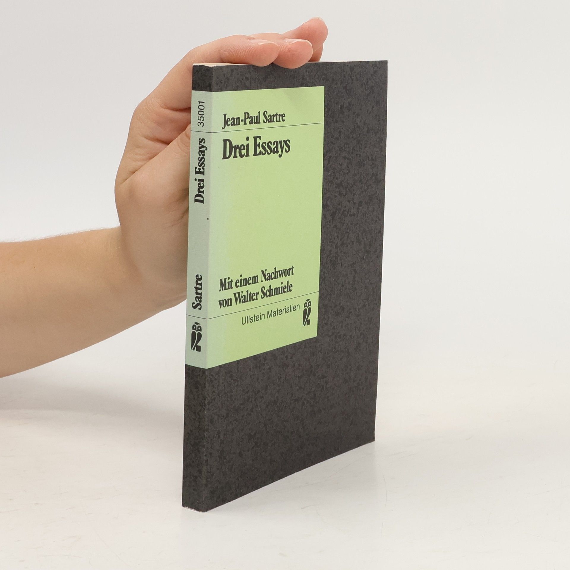 Jean Paul Sartre Drei Essays