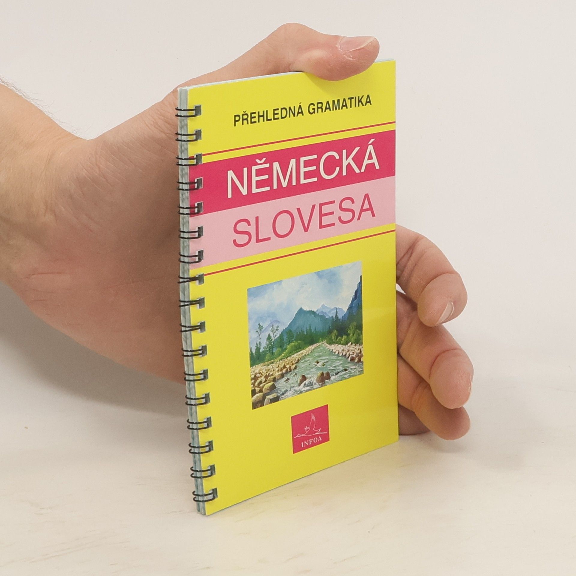Autorenkollektiv Německá slovesa : přehledná gramatika
