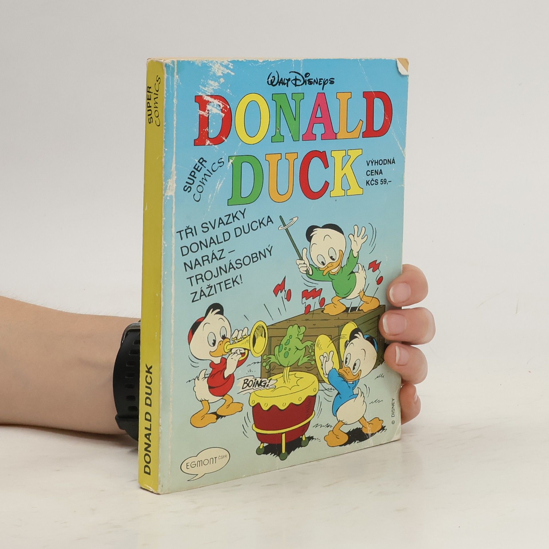 Donald Duck. Prázdniny