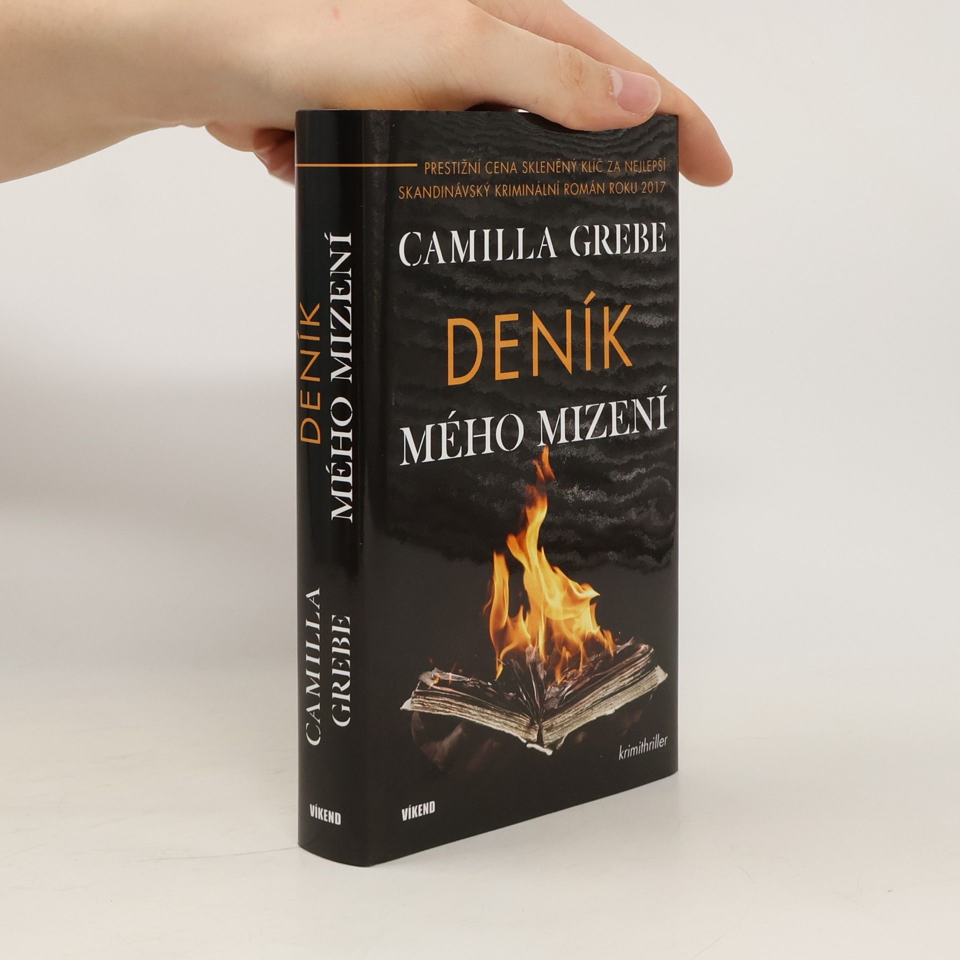 Camilla Grebe Deník mého mizení