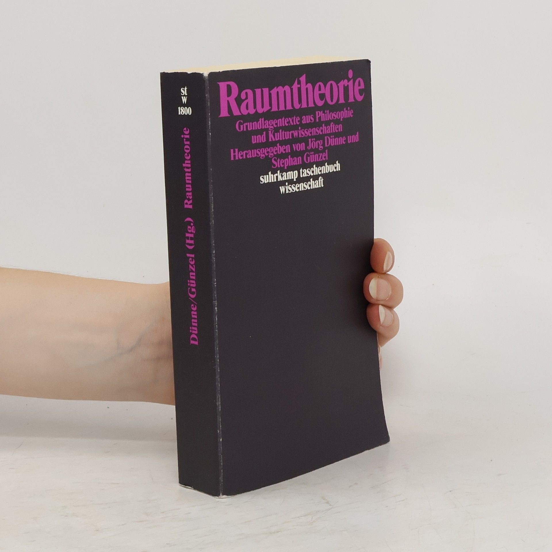 Jörg Dünne Raumtheorie