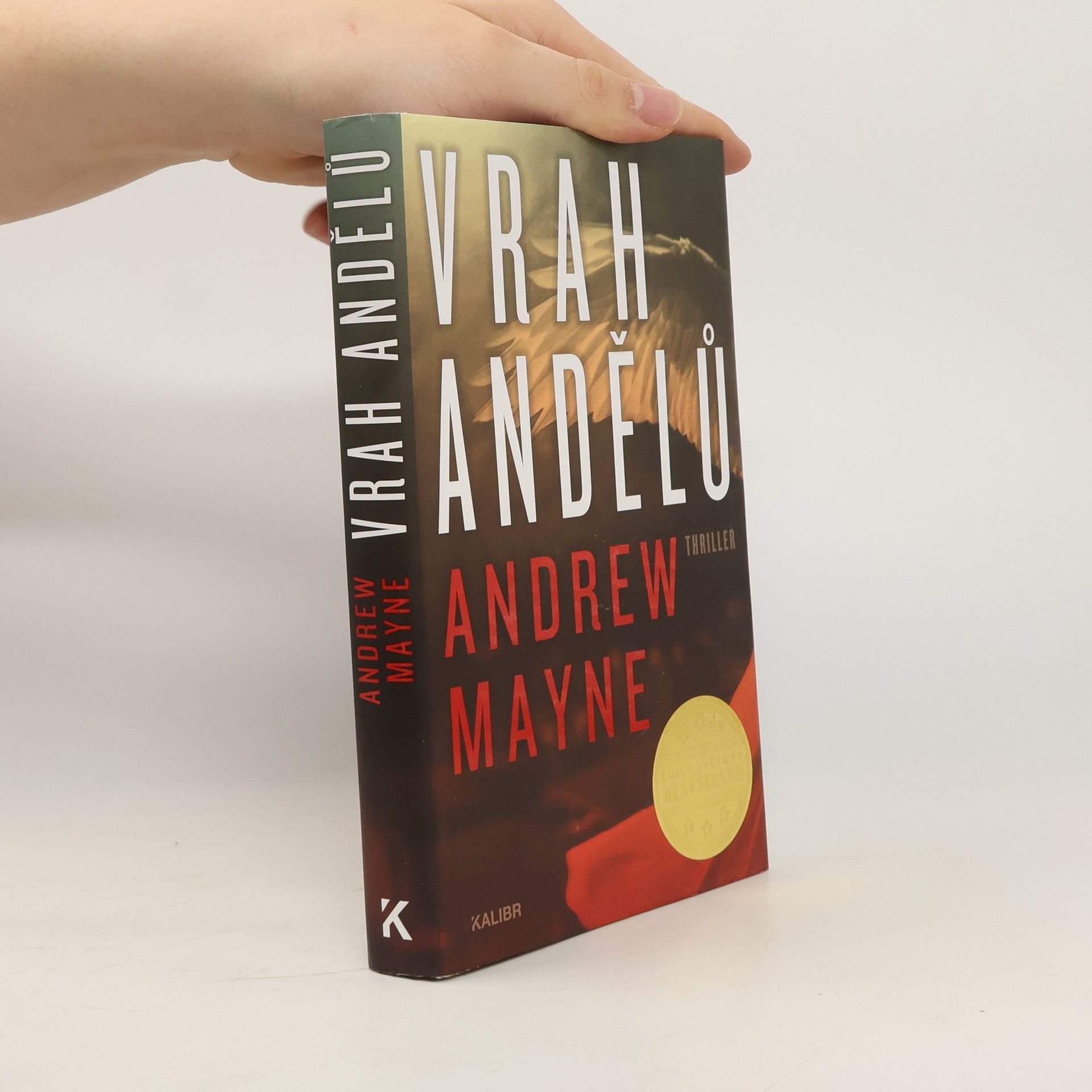 Andrew Mayne Vrah andělů