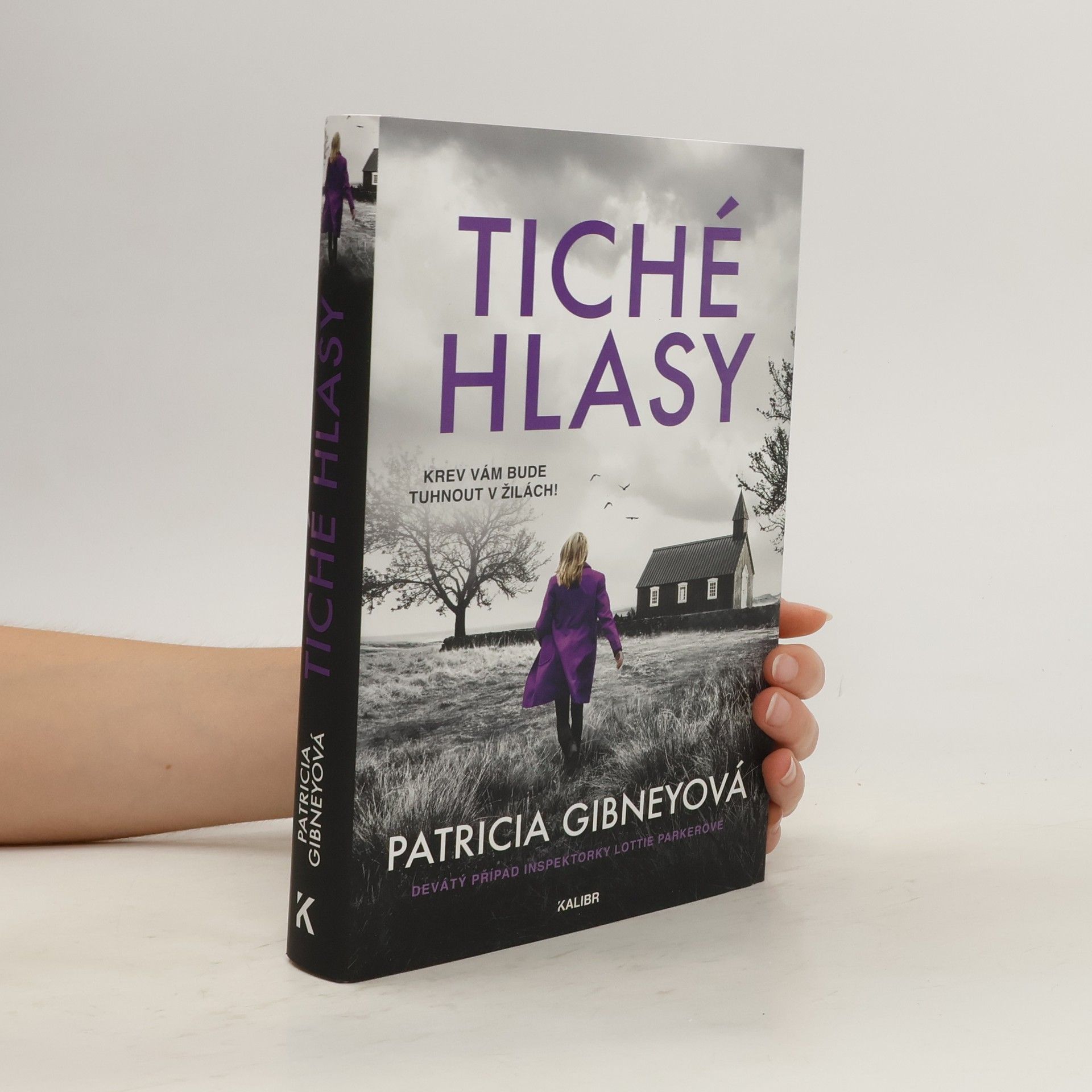 Drahomíra Michnová Tiché hlasy
