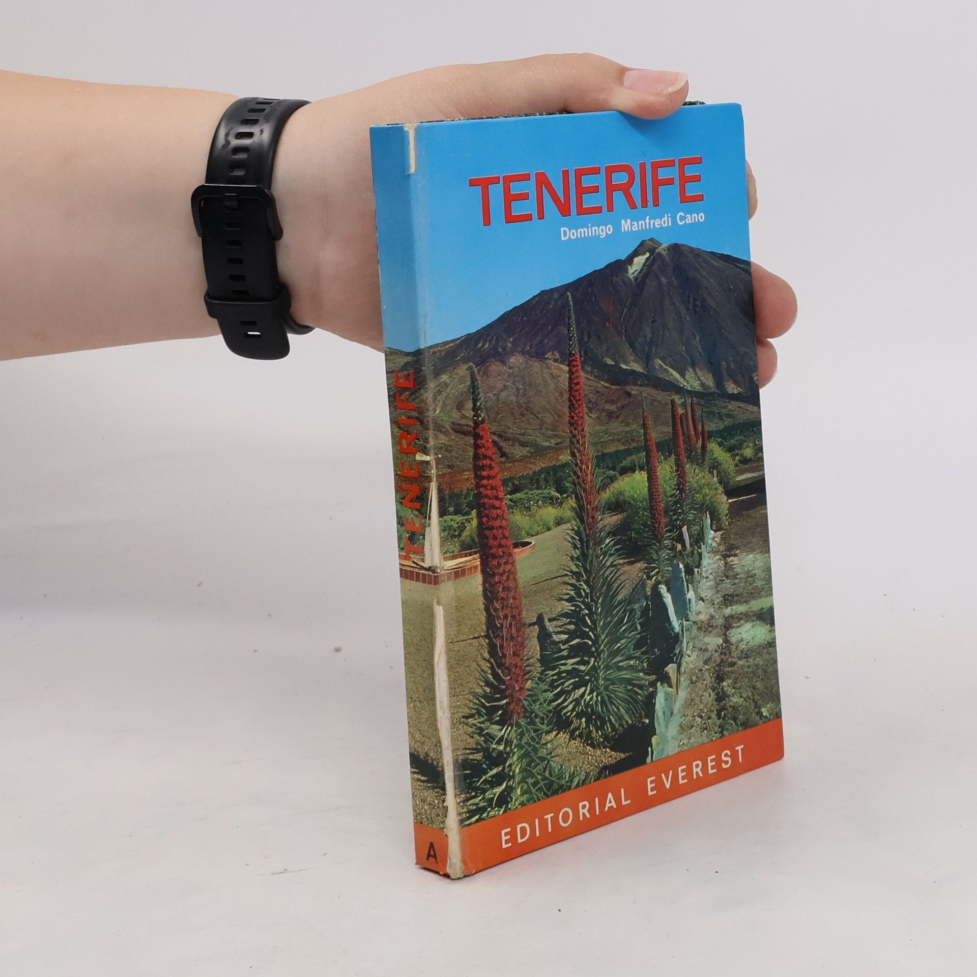 Collectif d'auteurs Tenerife