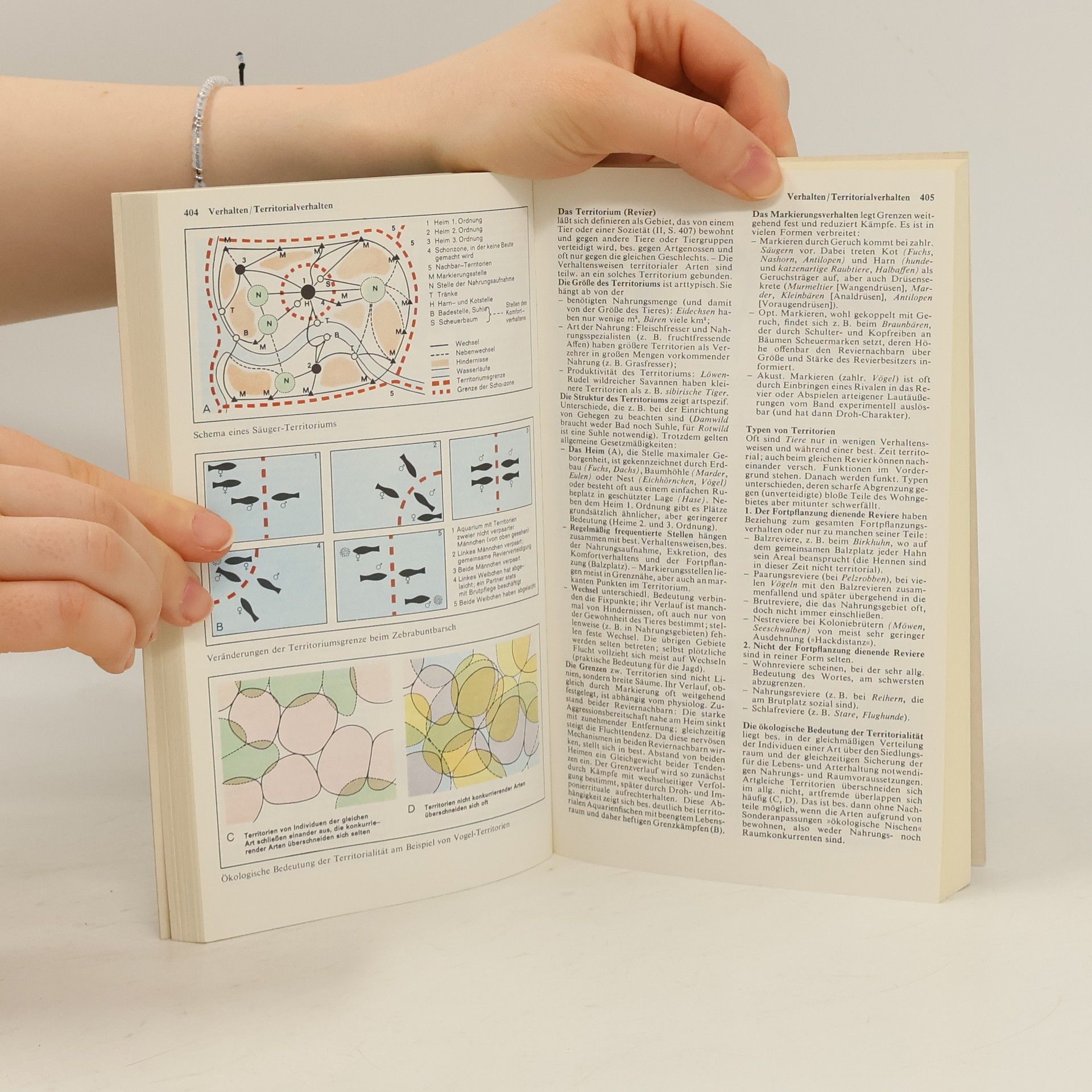 Collectif d'auteurs Dtv-Atlas zur Biologie. Band 2