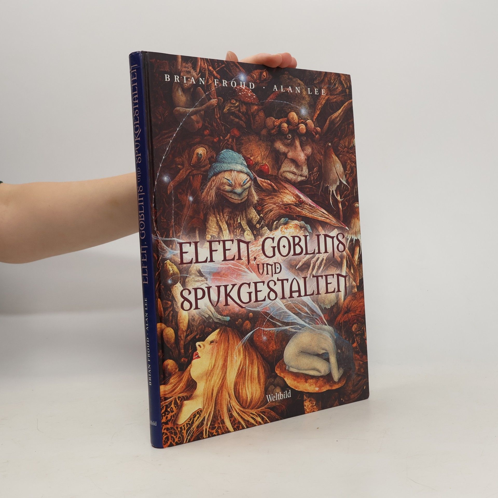 Brian Froud Elfen, Gobelins und Spukgestalten
