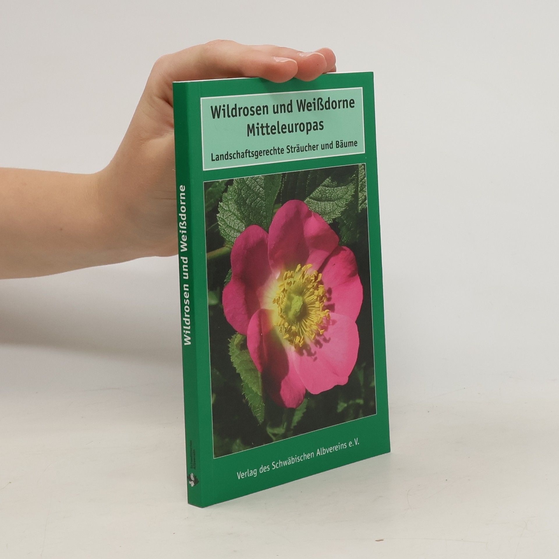 Georg Timmermann Wildrosen und Weißdorne Mitteleuropas