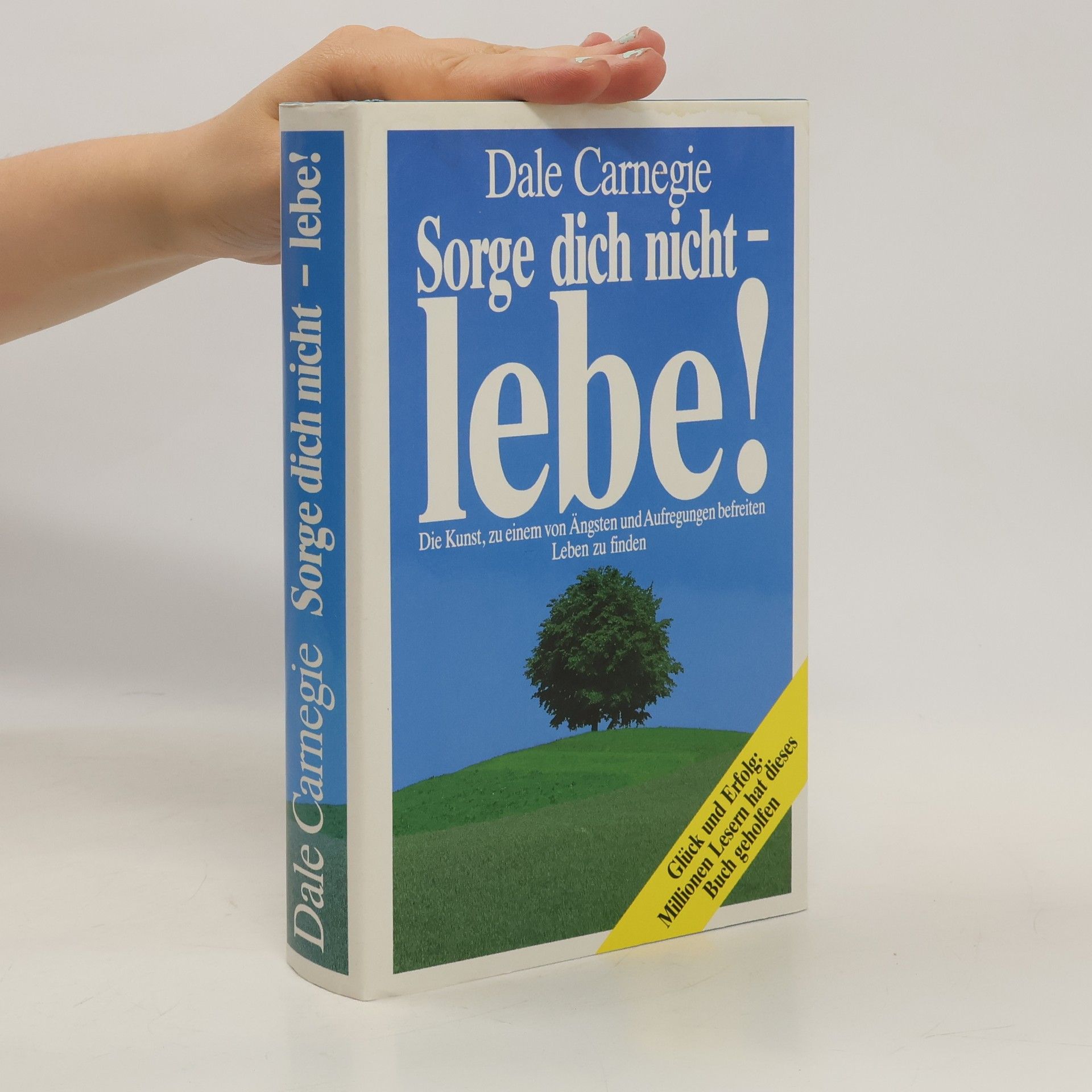 Dale Carnegie Sorge dich nicht - lebe!