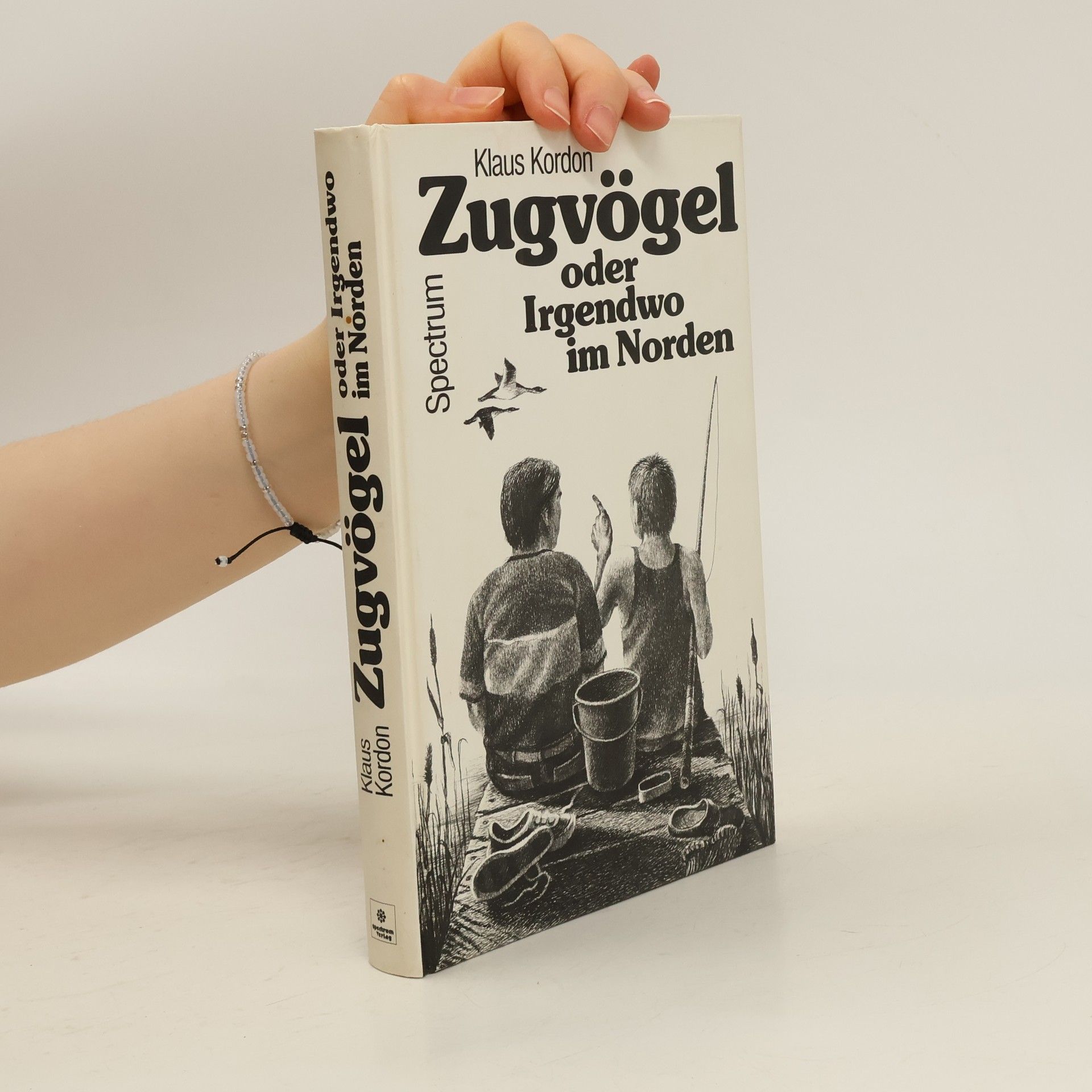 Klaus Kordon Zugvögel oder irgendwo im Norden