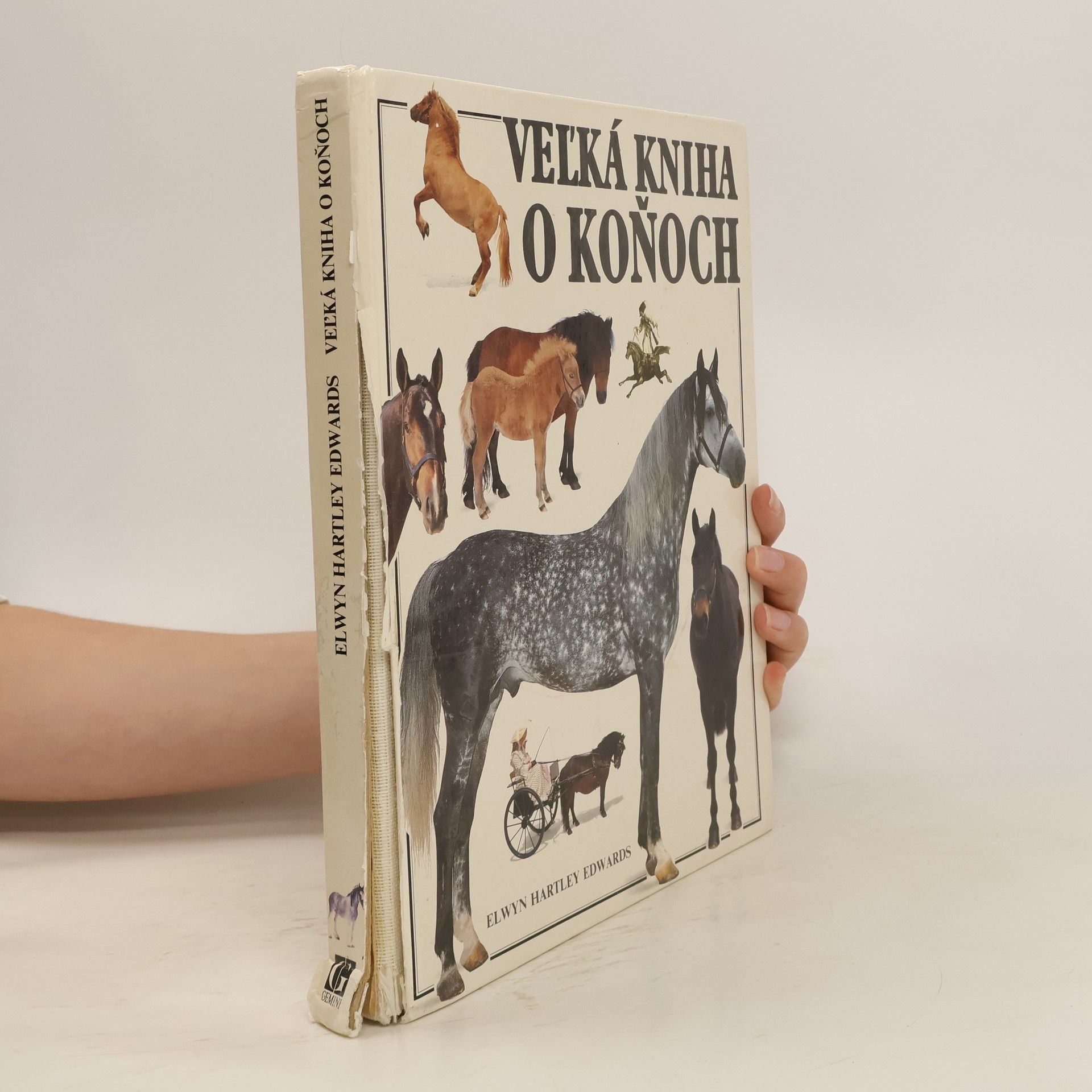 Elwyn Hartley Edwards Veľká kniha o koňoch