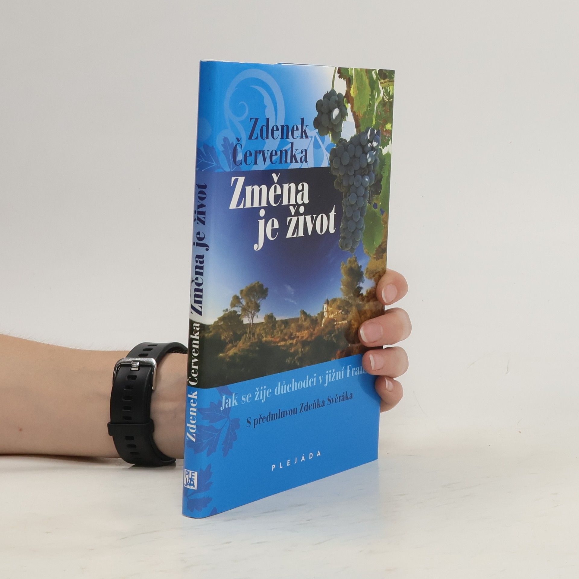 Dennis Kane Změna je život - Jak se žije důchodci v jižní Francii