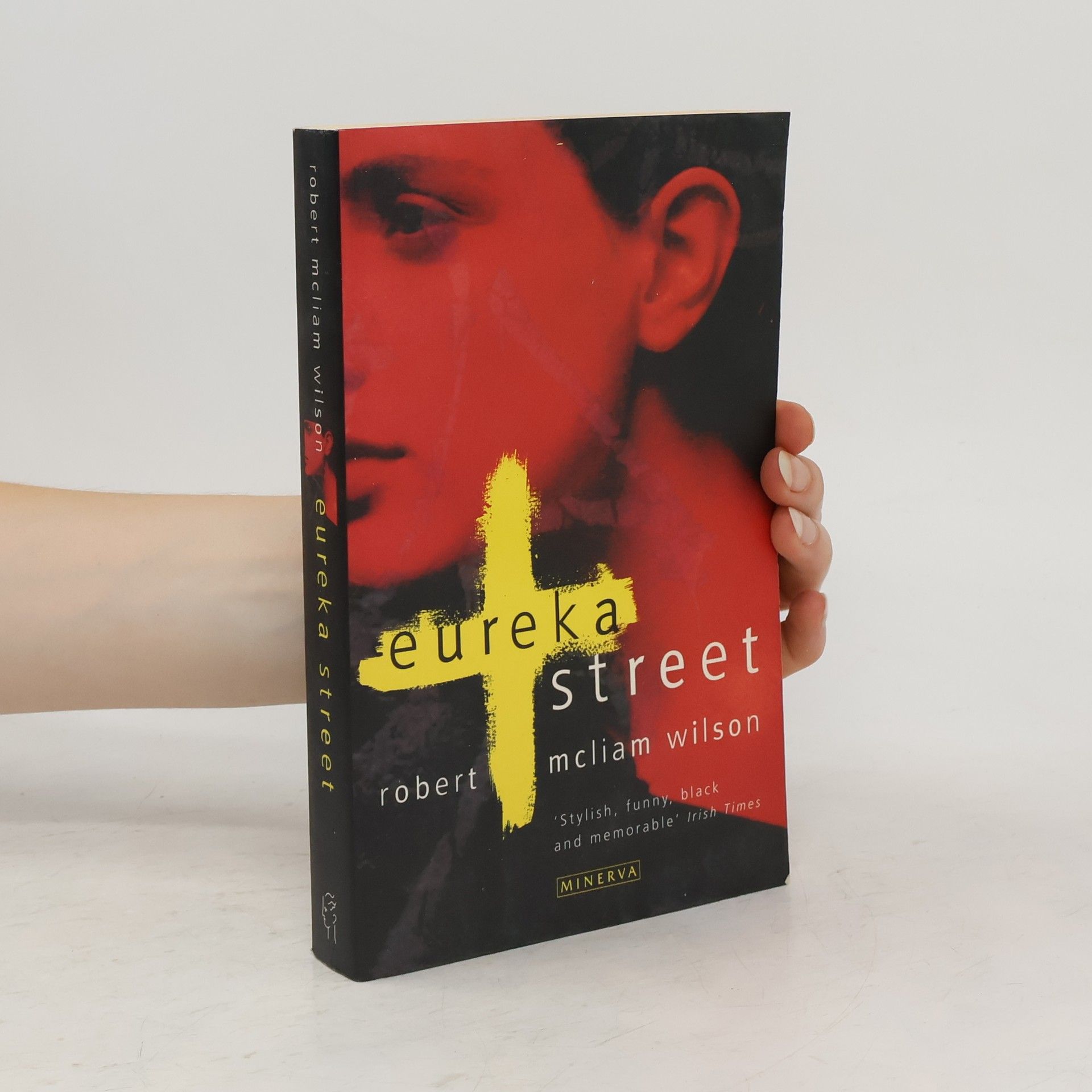Robert McLiam Wilson Eureka Street