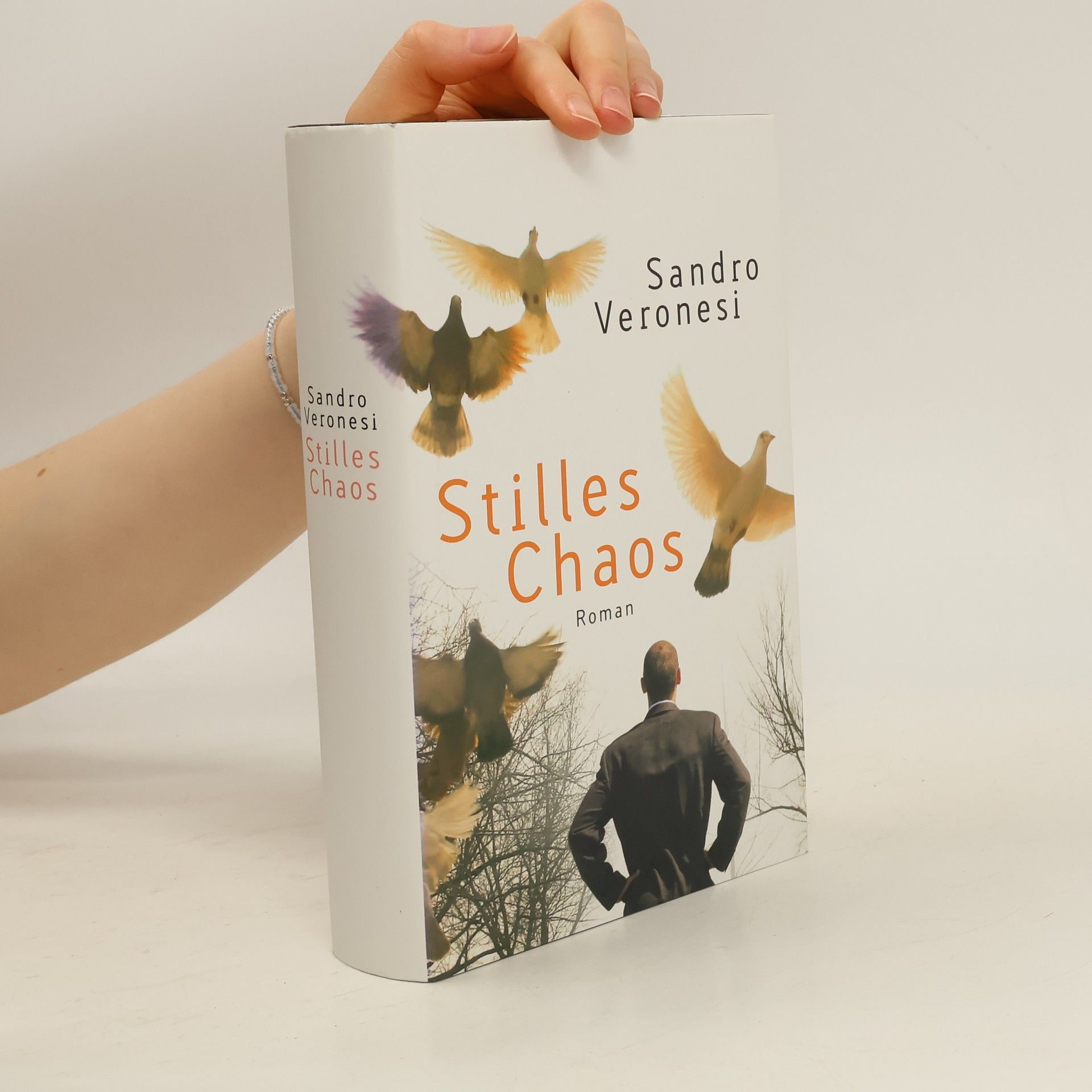 Sandro Veronesi Stilles Chaos
