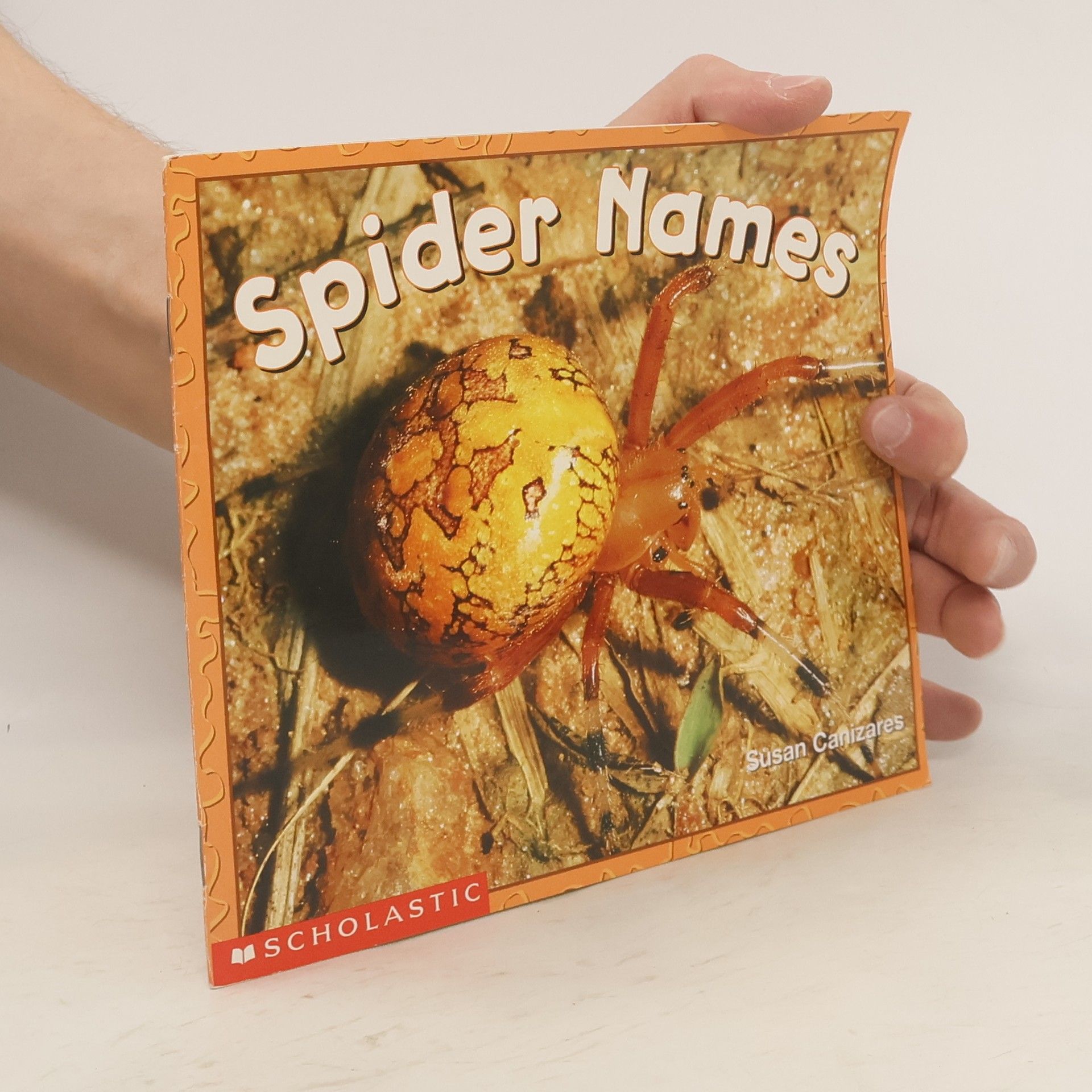 Susan Canizares Spider Names