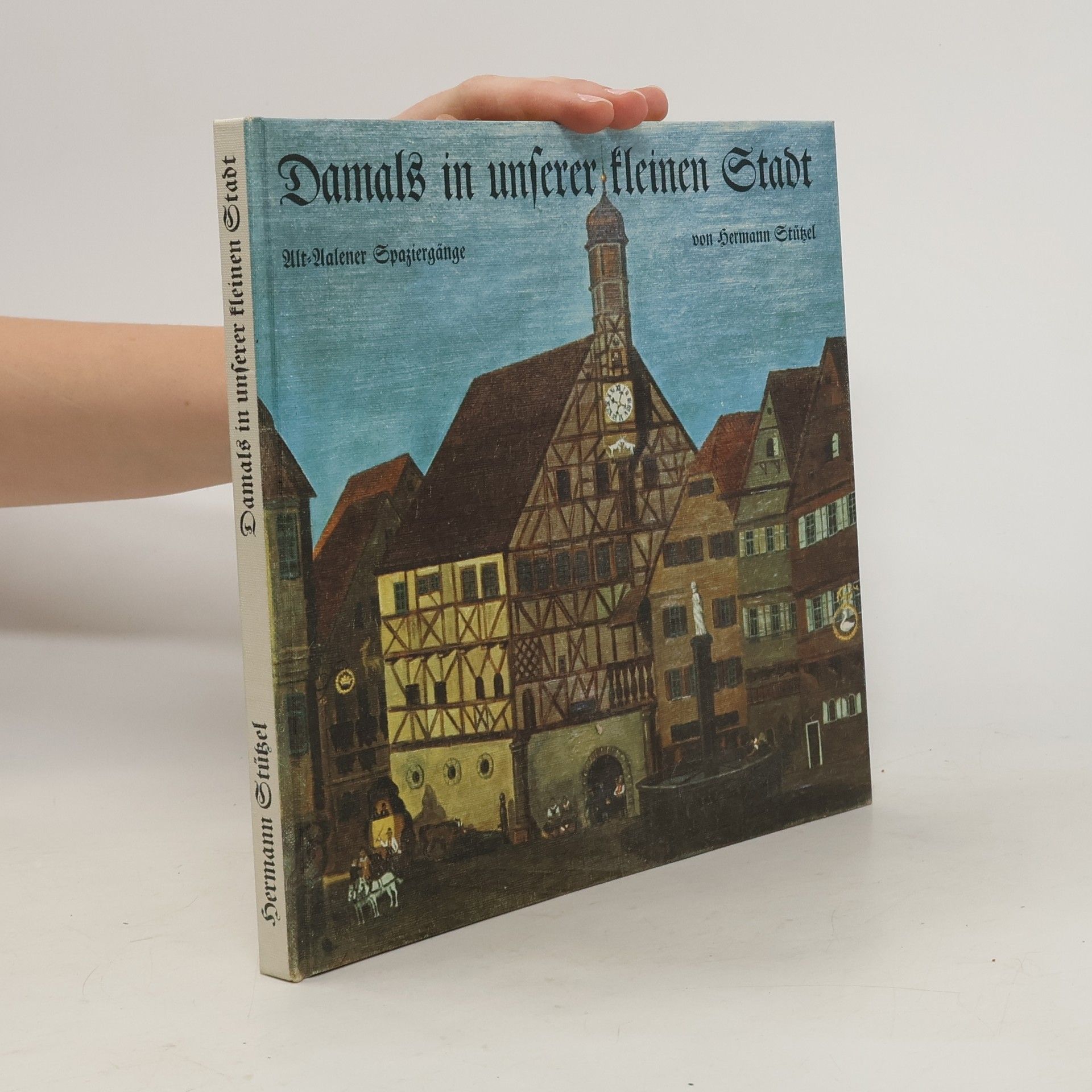 Hermann Stützel Damals in unserer kleinen Stadt