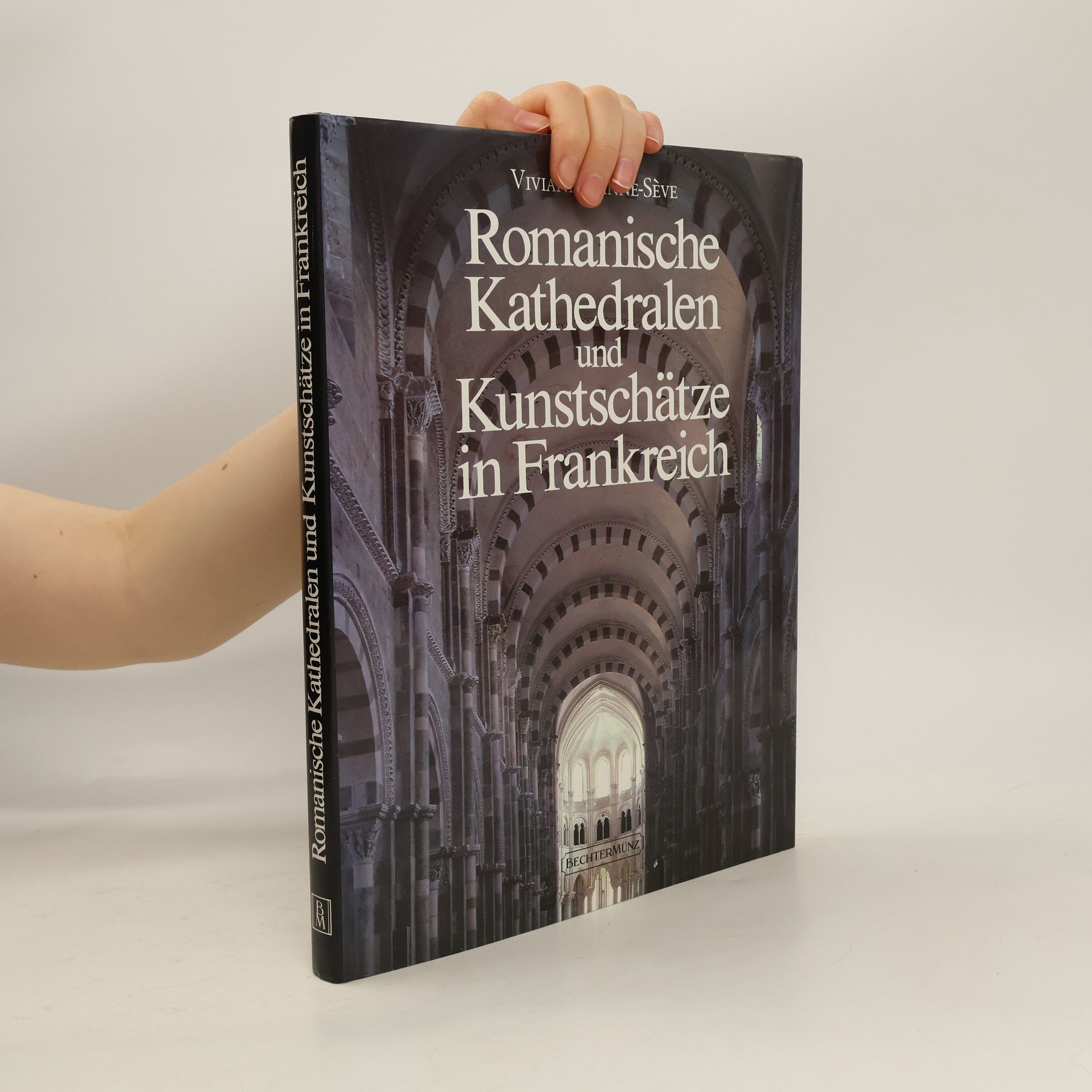 Viviane Minne-Sève Romanische Kathedralen und Kunstschätze in Frankreich