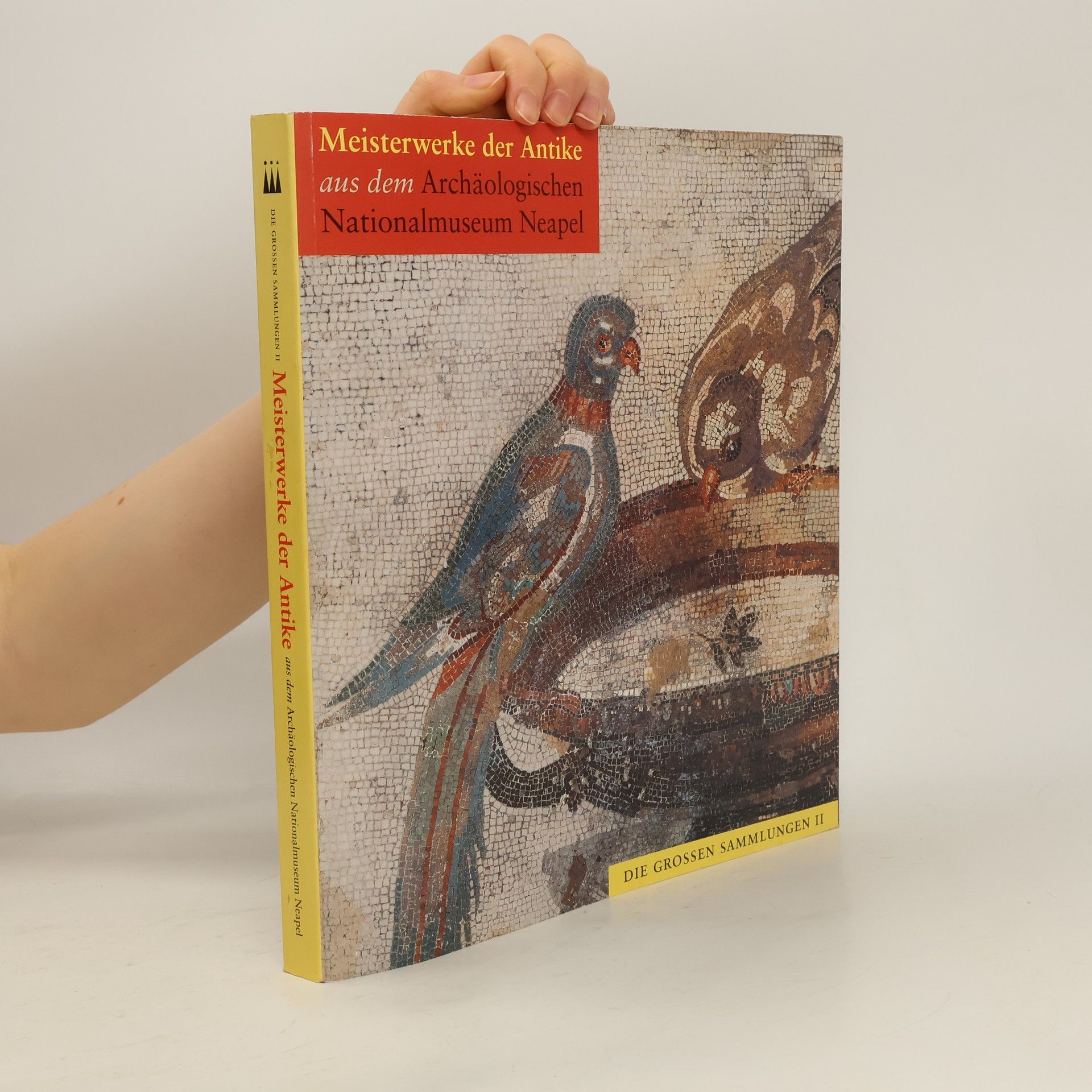 Autorenkollektiv Meisterwerke der Antike aus dem Archäologischen Nationalmuseum Neapel