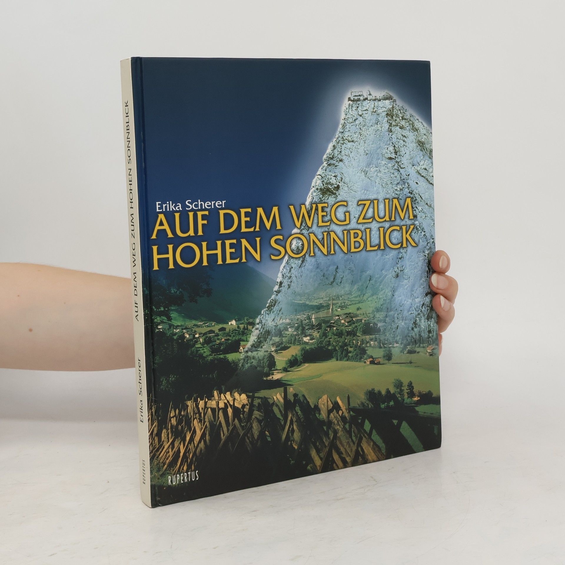 Erika Scherer Auf dem Weg zum Hohen Sonnblick