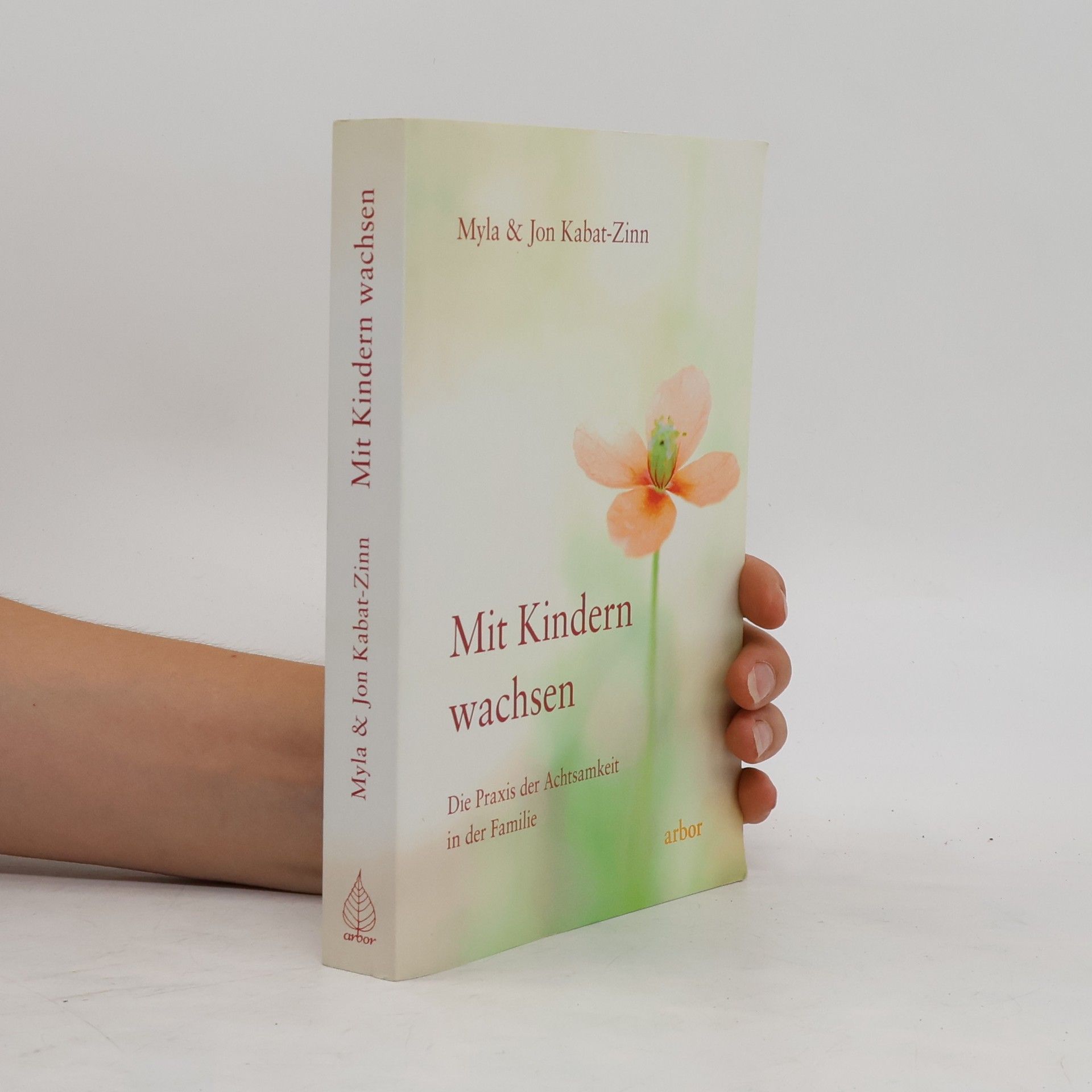 Myla Kabat zinn Mit Kindern wachsen
