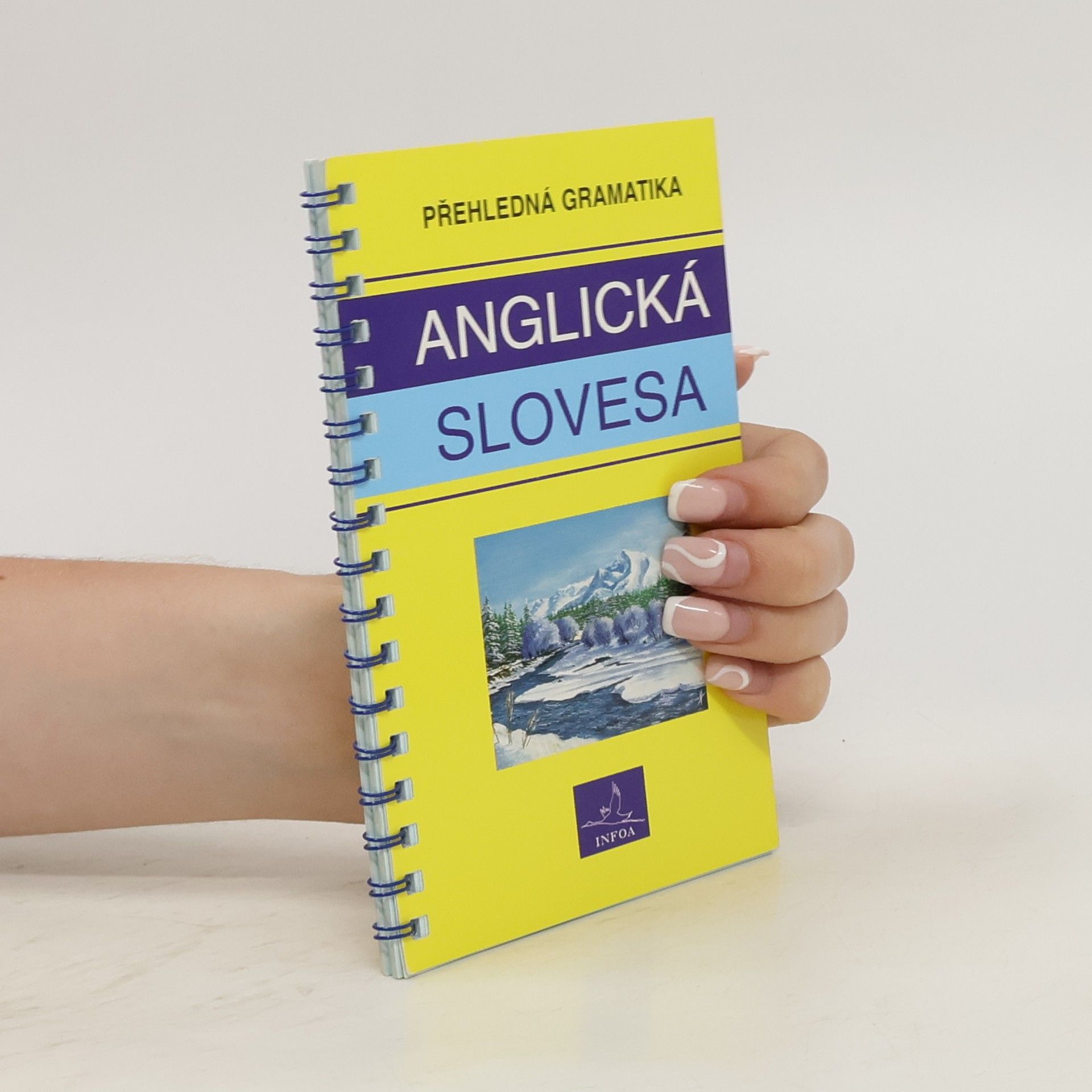 kolektiv Anglická slovesa : přehledná gramatika