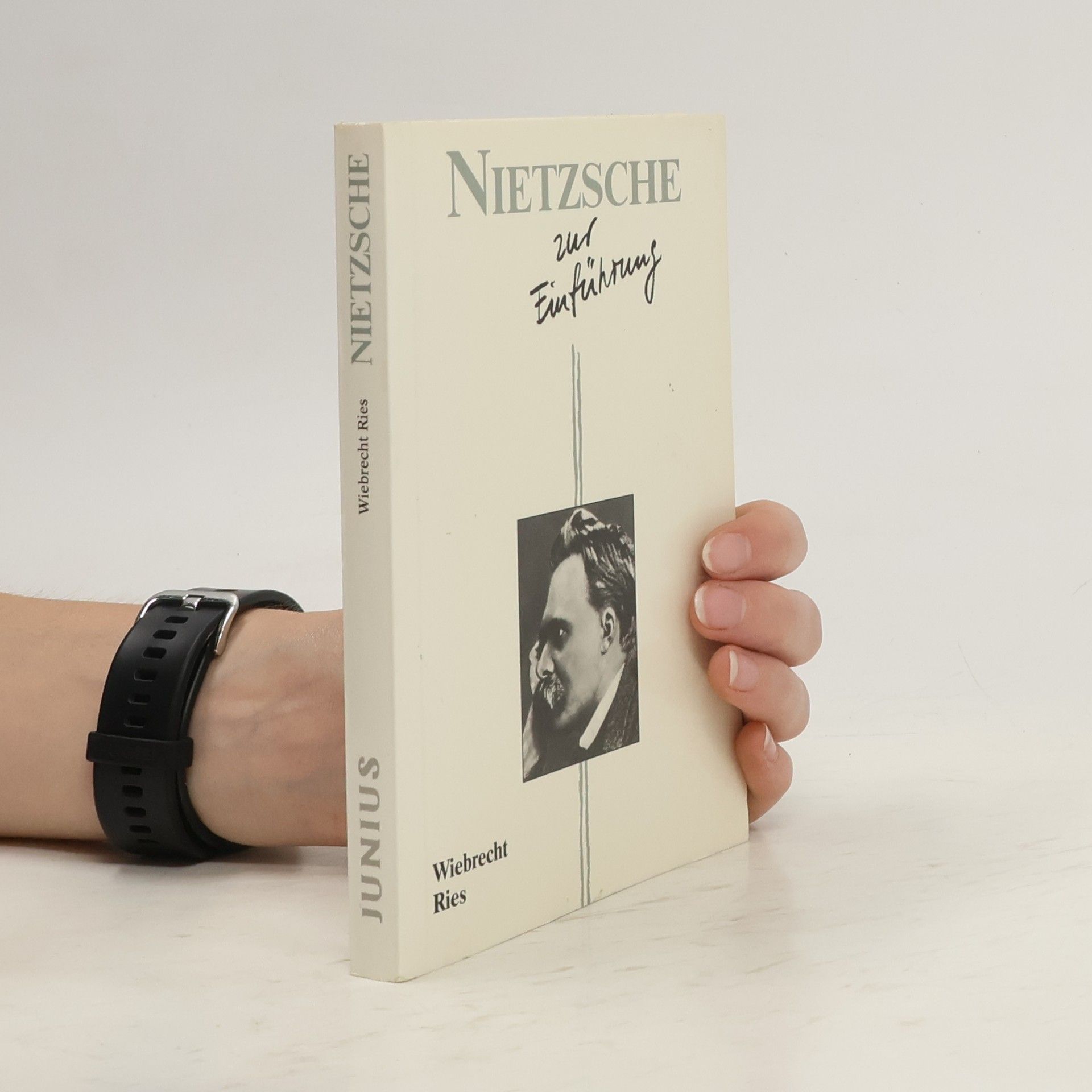 Wiebrecht Ries Nietzsche zur Einführung