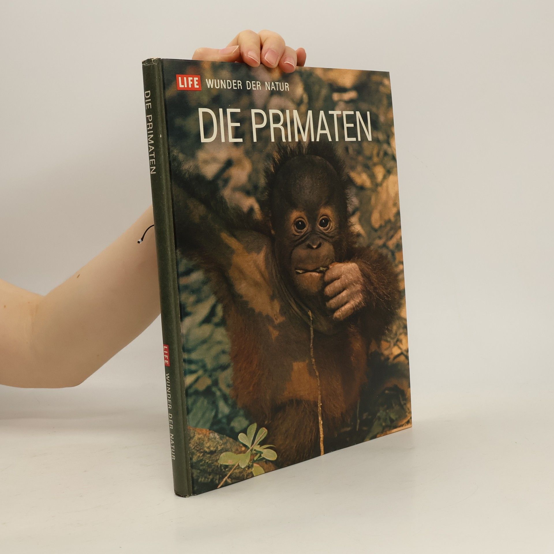 kolektiv Die Primaten
