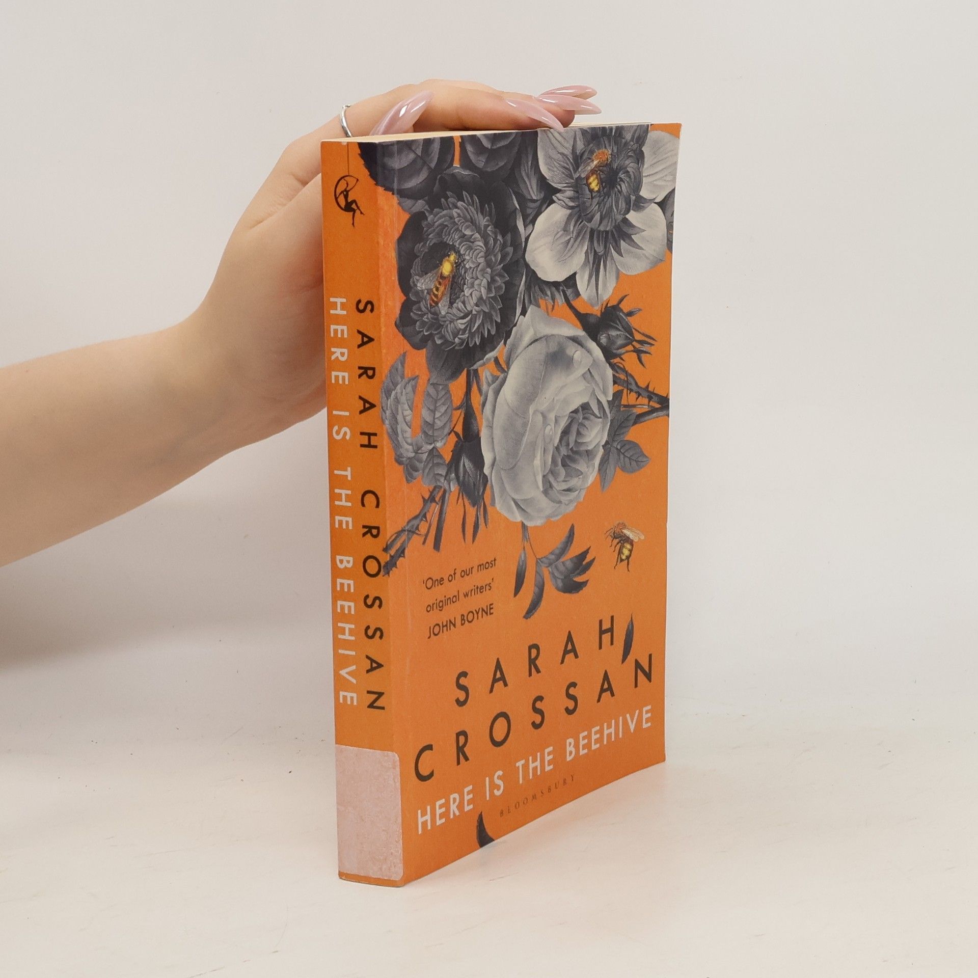 Sarah Crossan Here is the Beehive