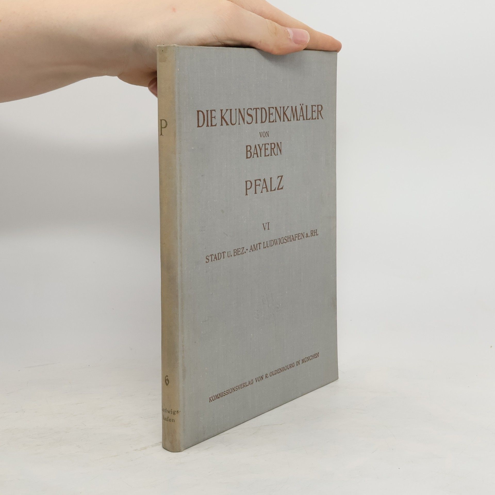 Max Goering Die Kunstdenkmäler von Bayern. Pfalz VI