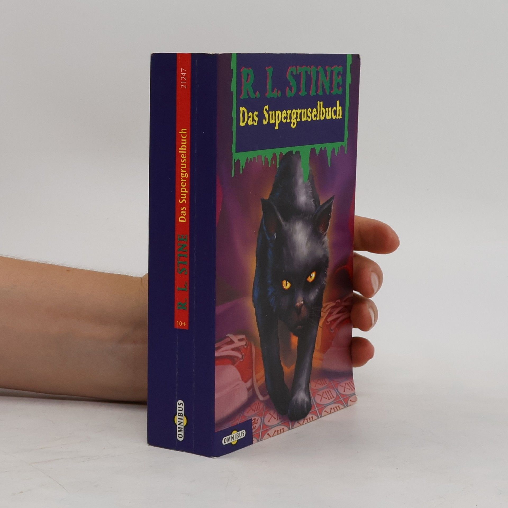 R. L. Stine Das Supergruselbuch