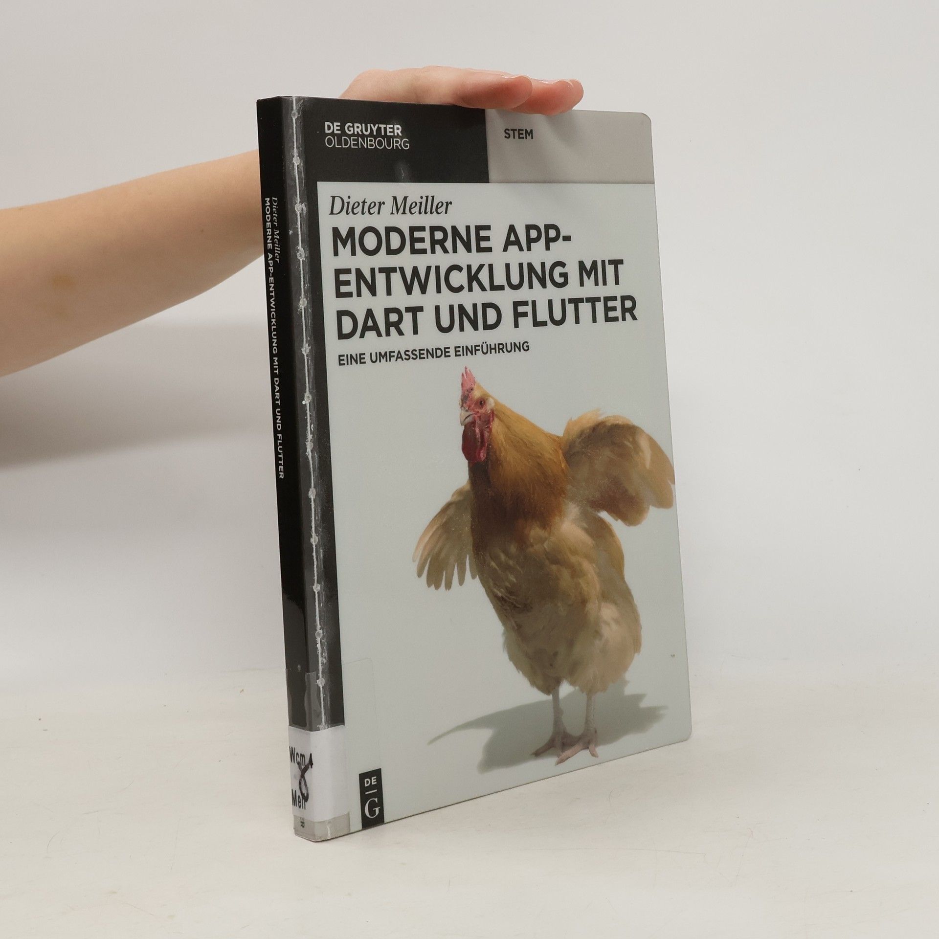 Dieter Meiller Moderne App-Entwicklung mit Dart und Flutter